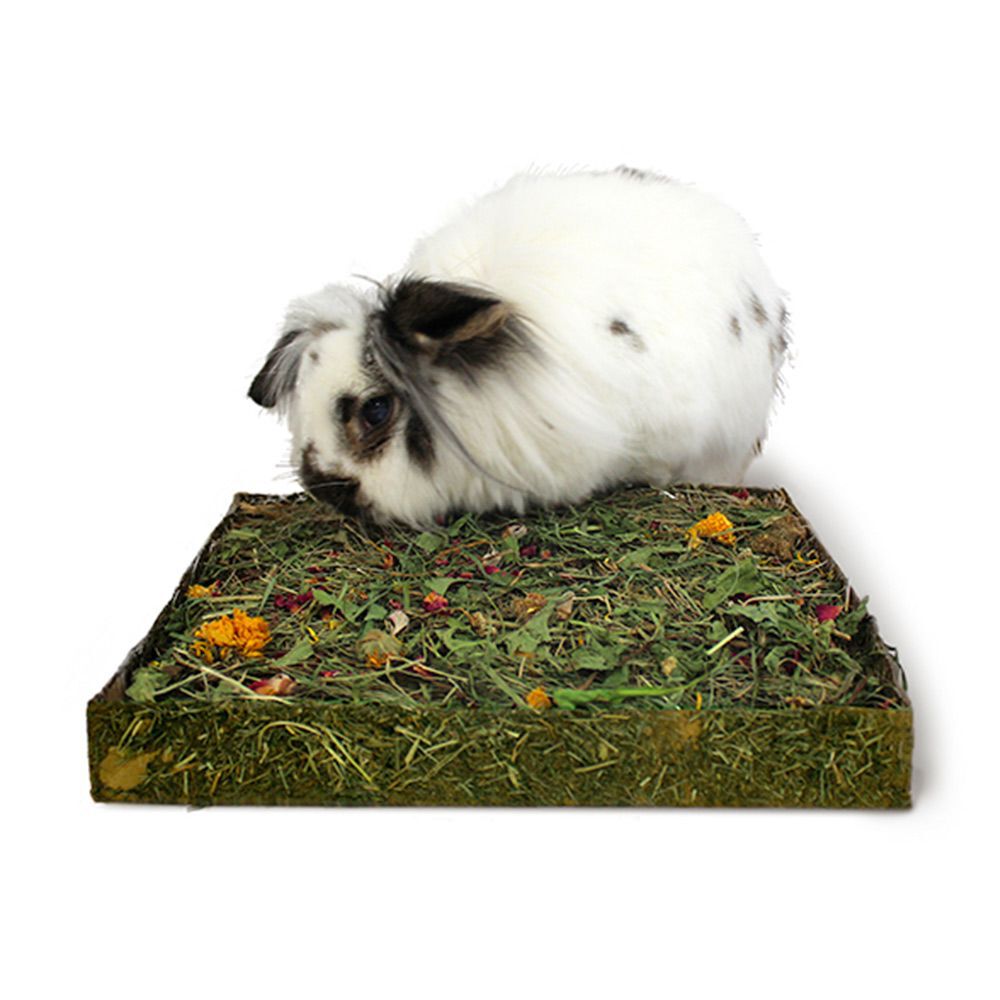 Rosewood Nibble'n'Dig Meadow 