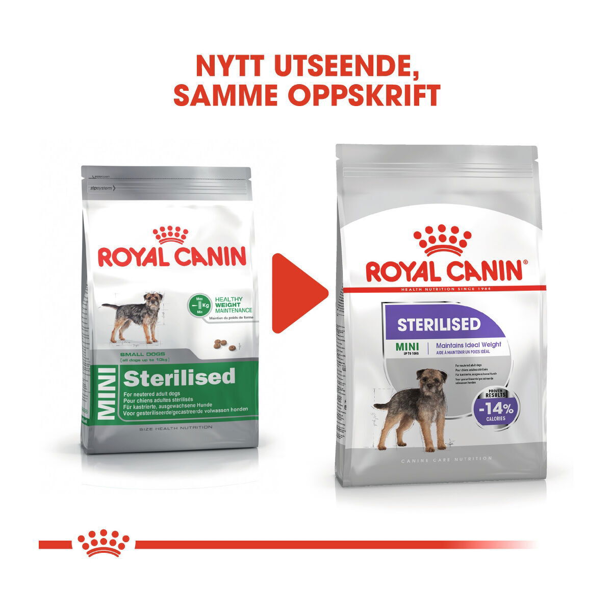 Royal Canin Mini Sterilised