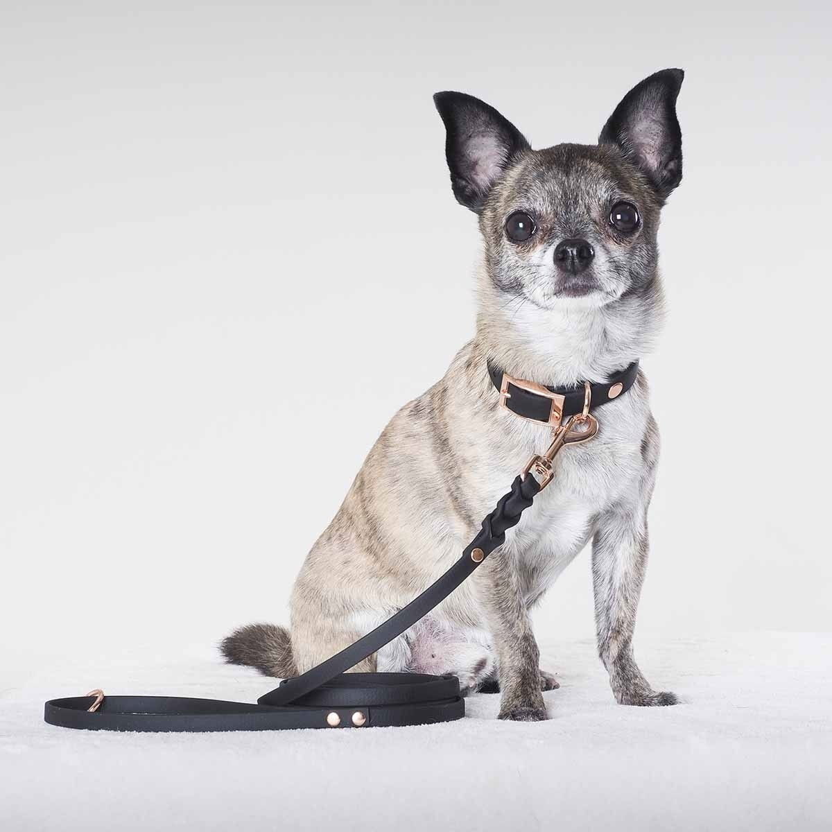 Tyylivoitto Classy narrow collar, black