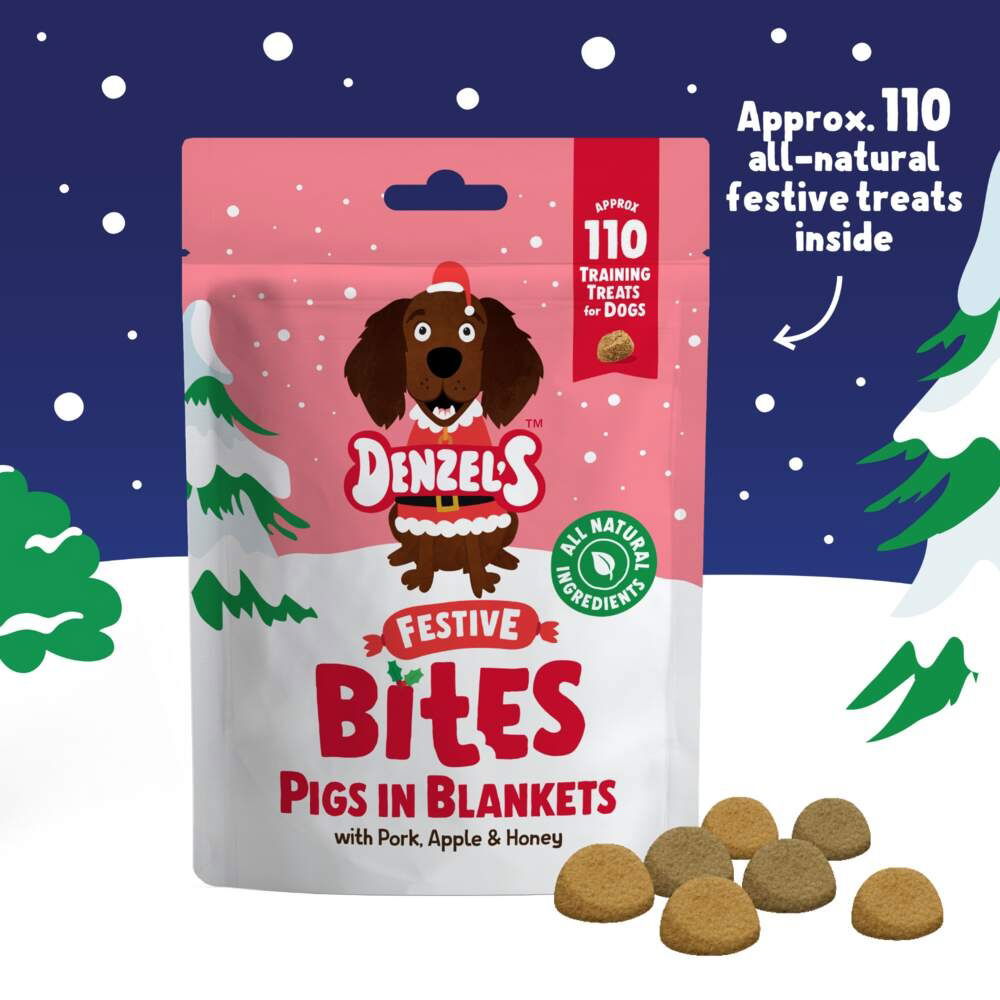 Denzel's Christmas Stocking Selection for dogs 214g