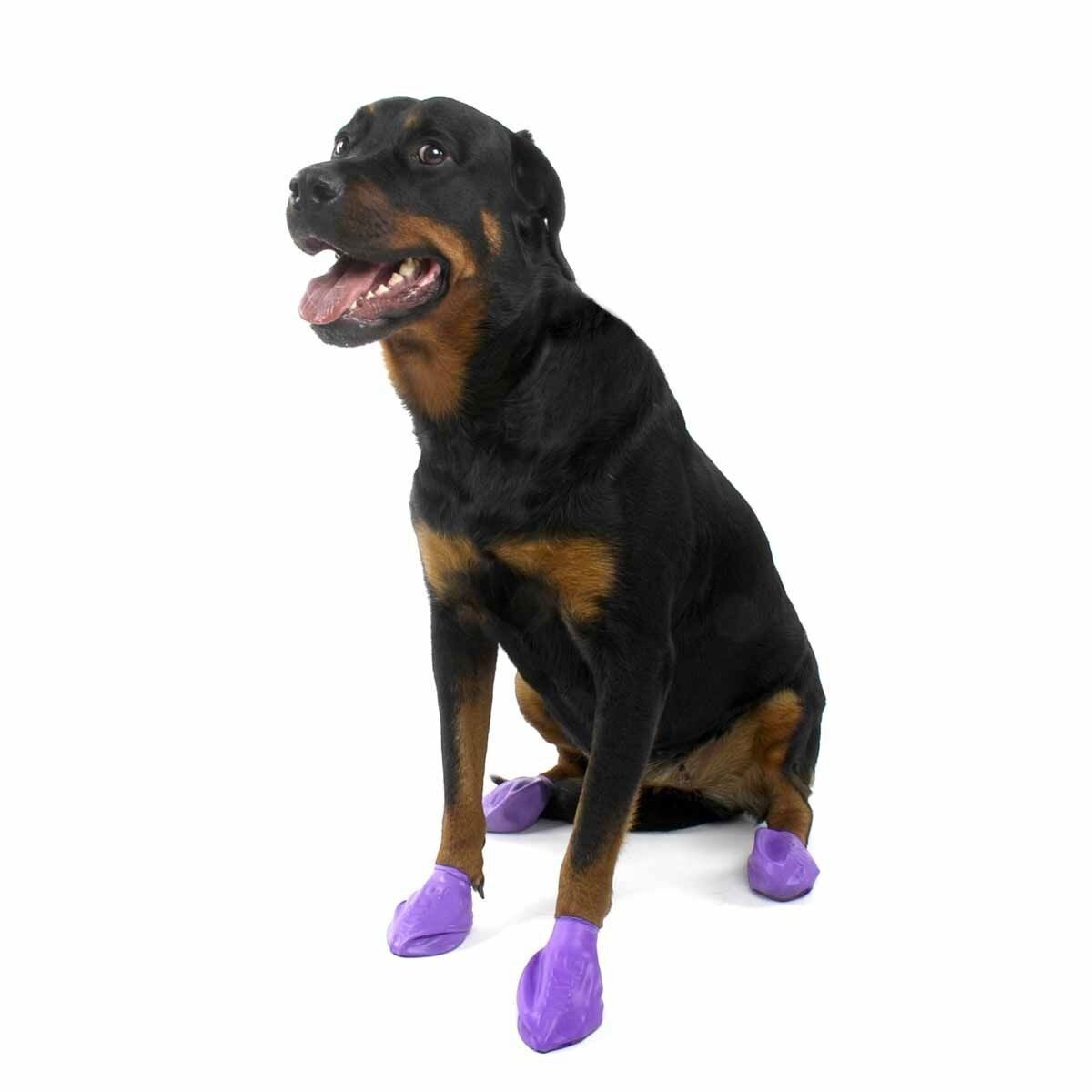 PawZ dog rubber boots color 12pcs