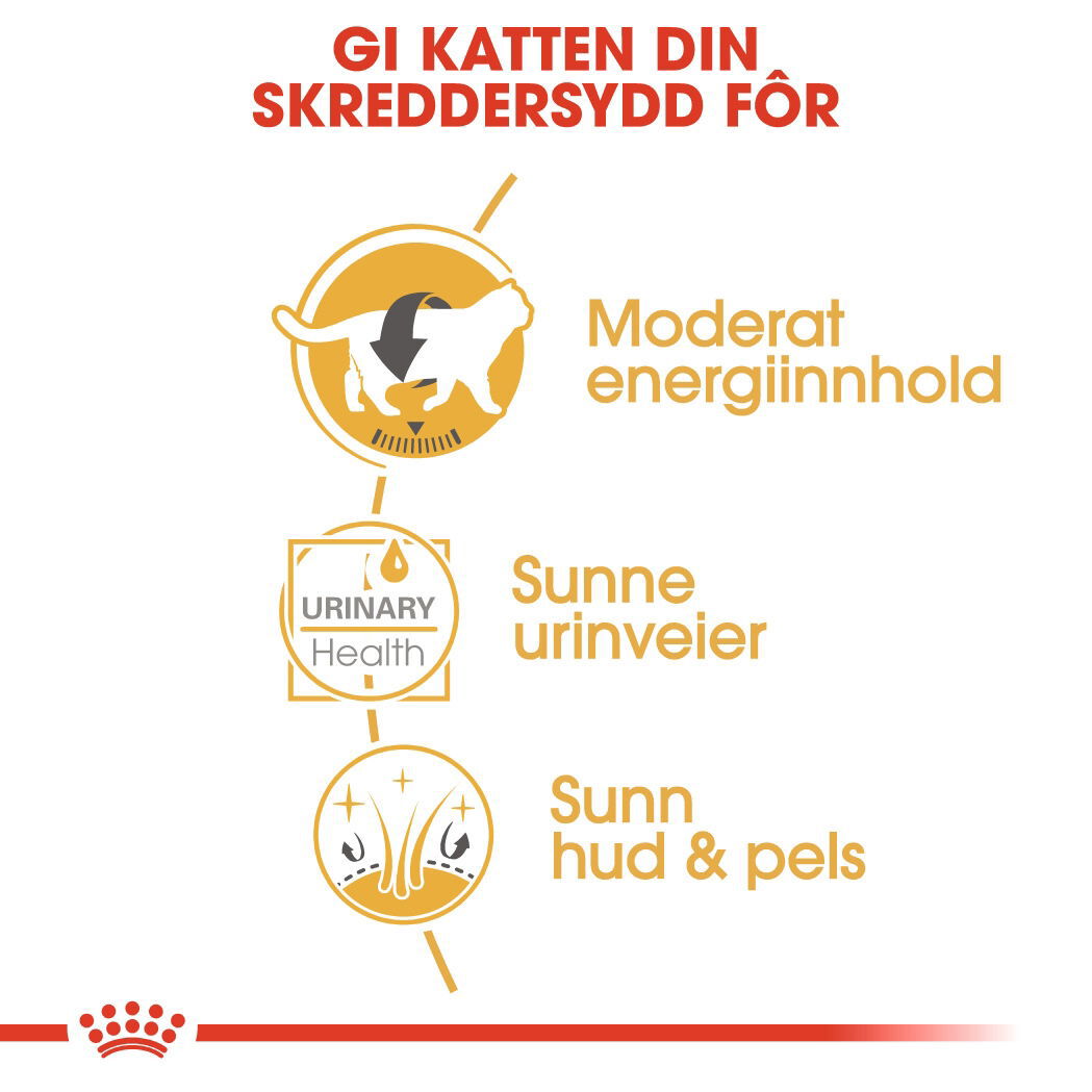 Royal Canin British Shorthair Adult Gravy våtfôr til katt