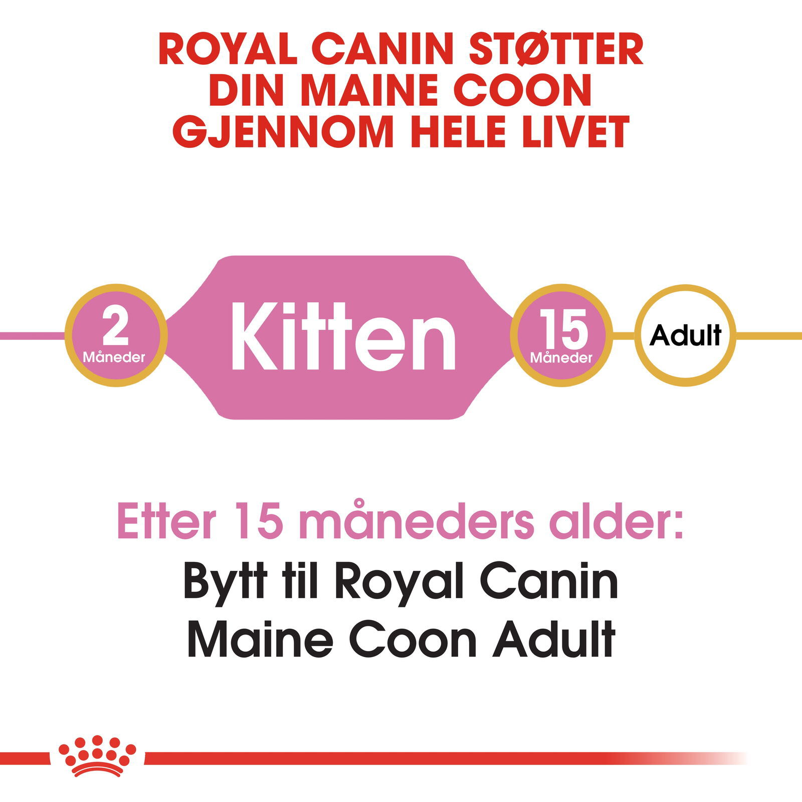 Royal Canin Maine Coon Kitten tørrfôr til kattunge