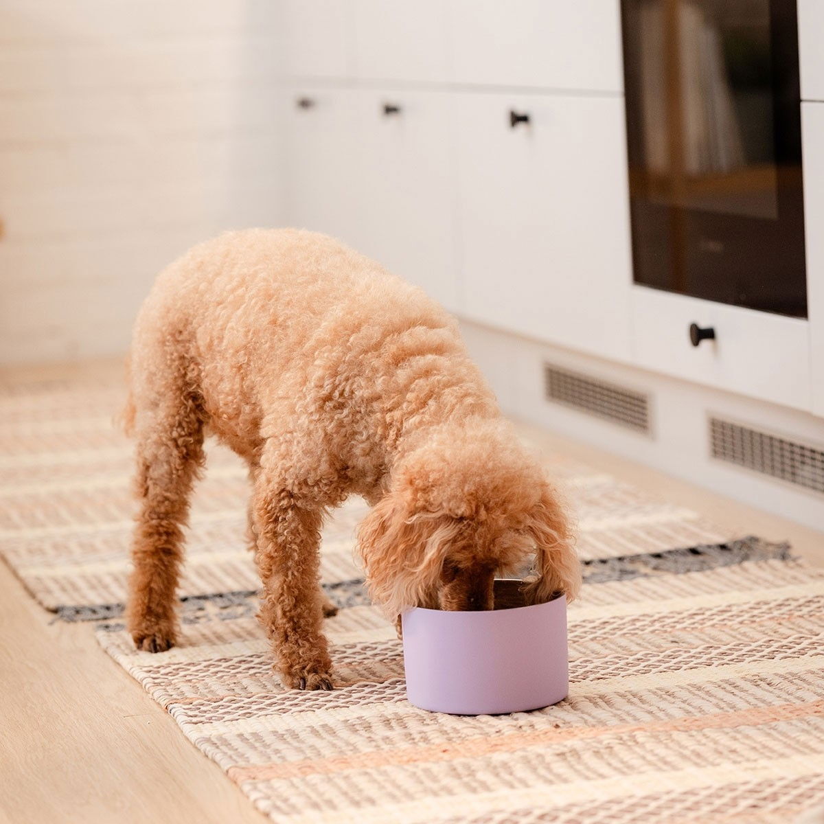 Basic DoubleWall concave metal bowl lilac