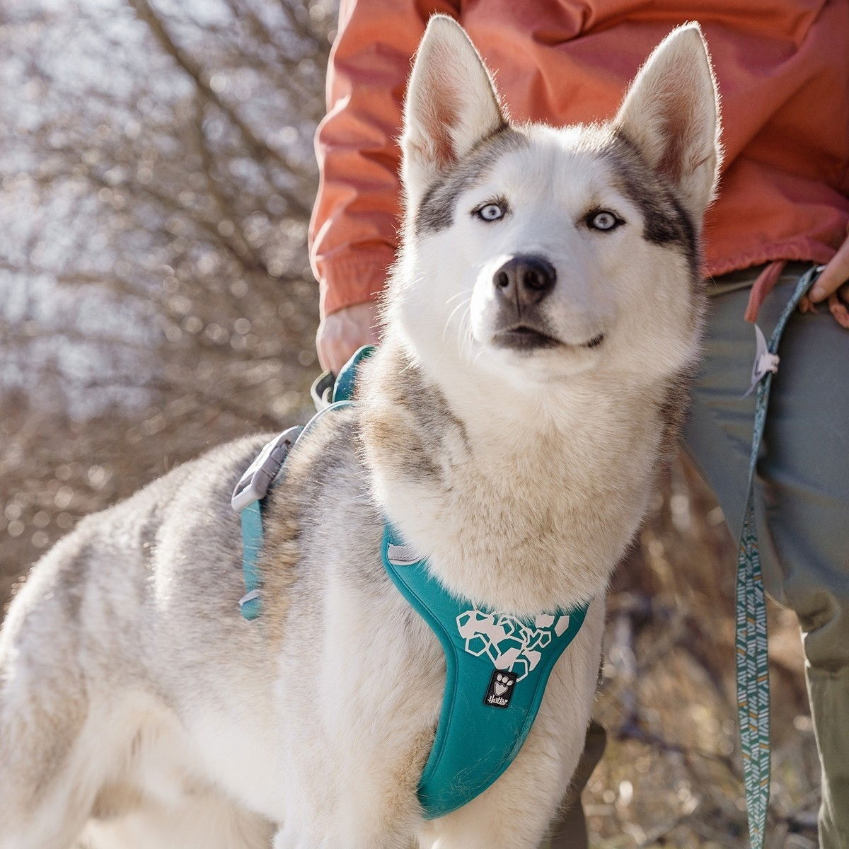 Hurtta Weekend Warrior harness, peacock