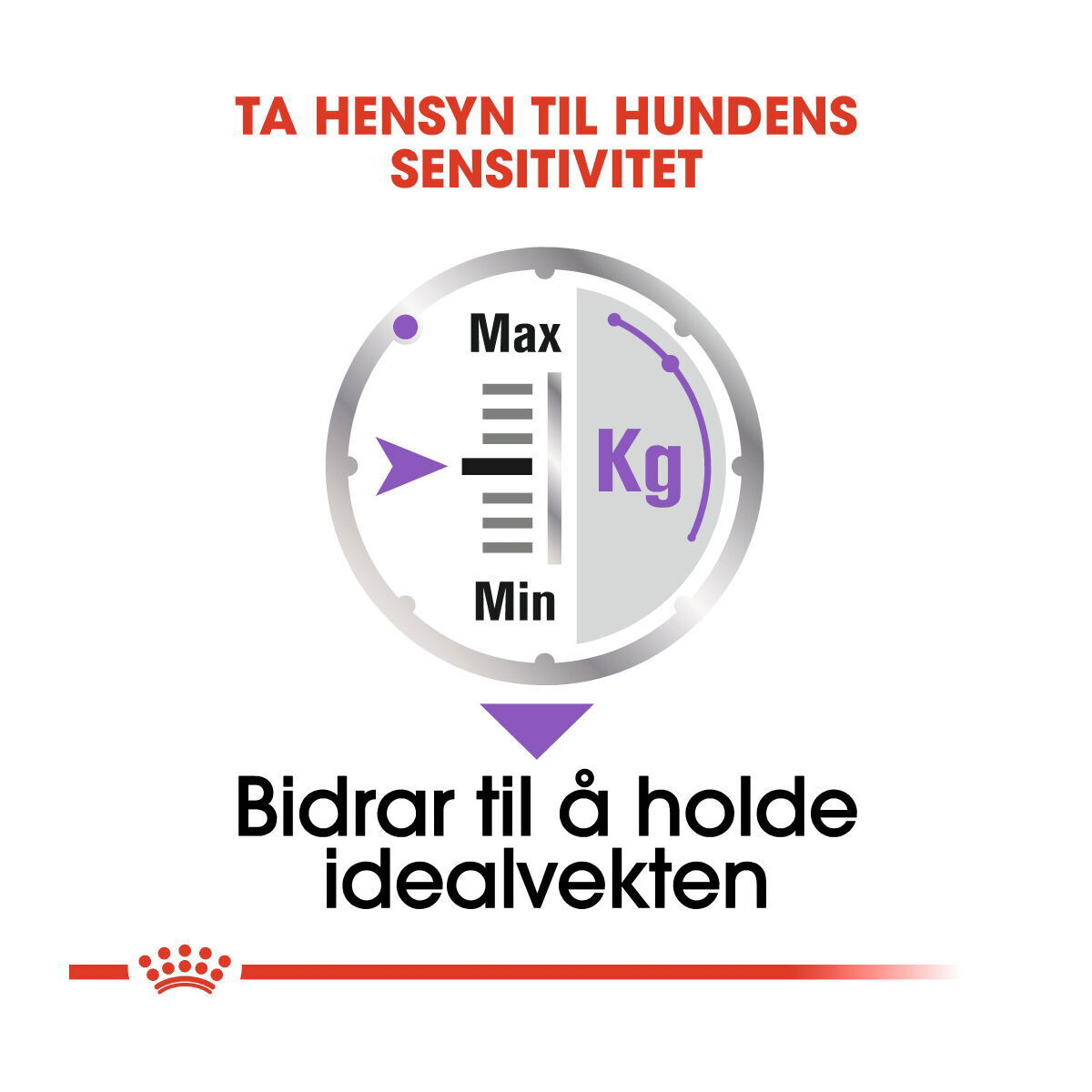 Royal Canin Sterilised Adult Loaf våtfôr til hund