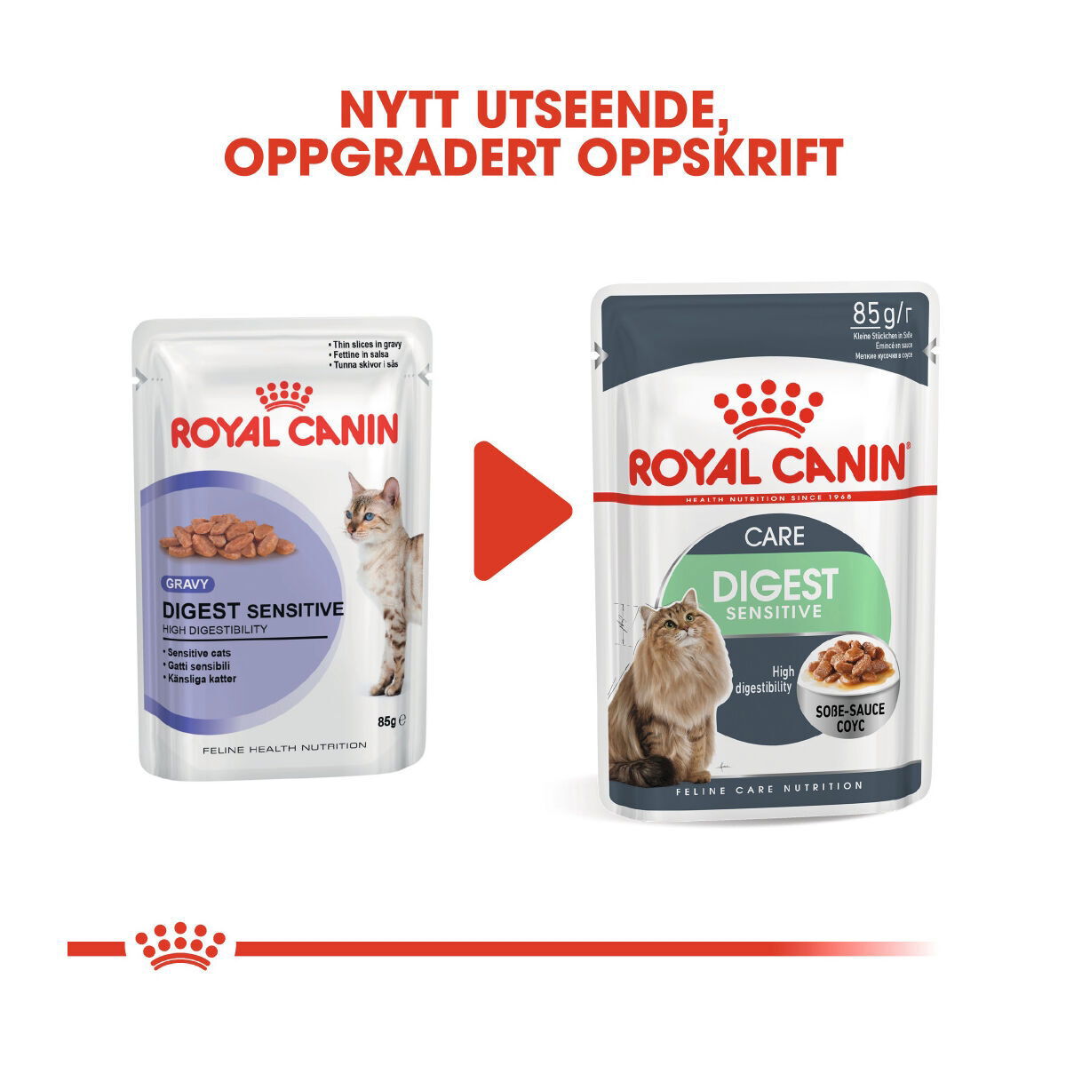 Royal Canin Digestive Care Gravy Adult våtfôr til katt