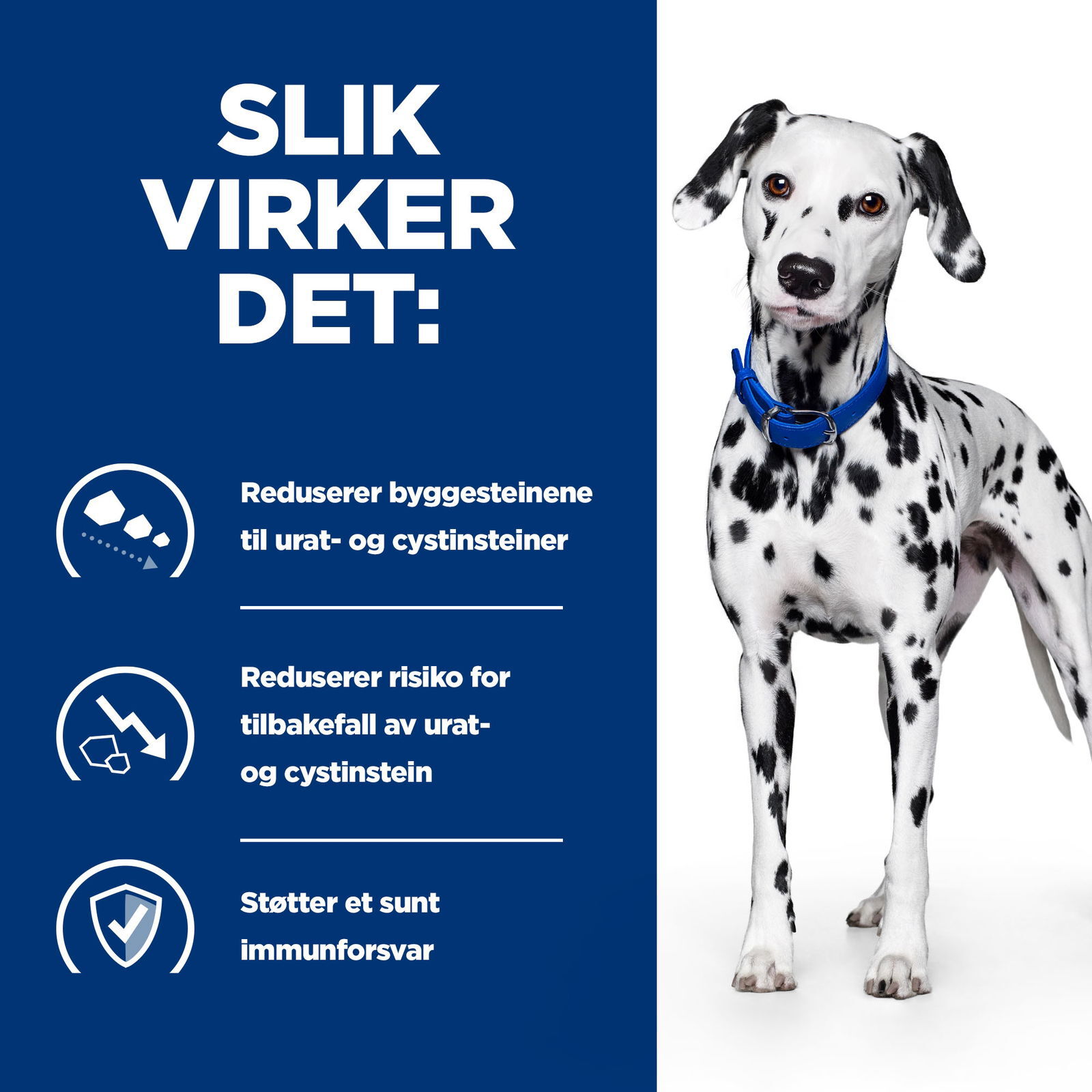 Hills Diet Dog u/d 5kg