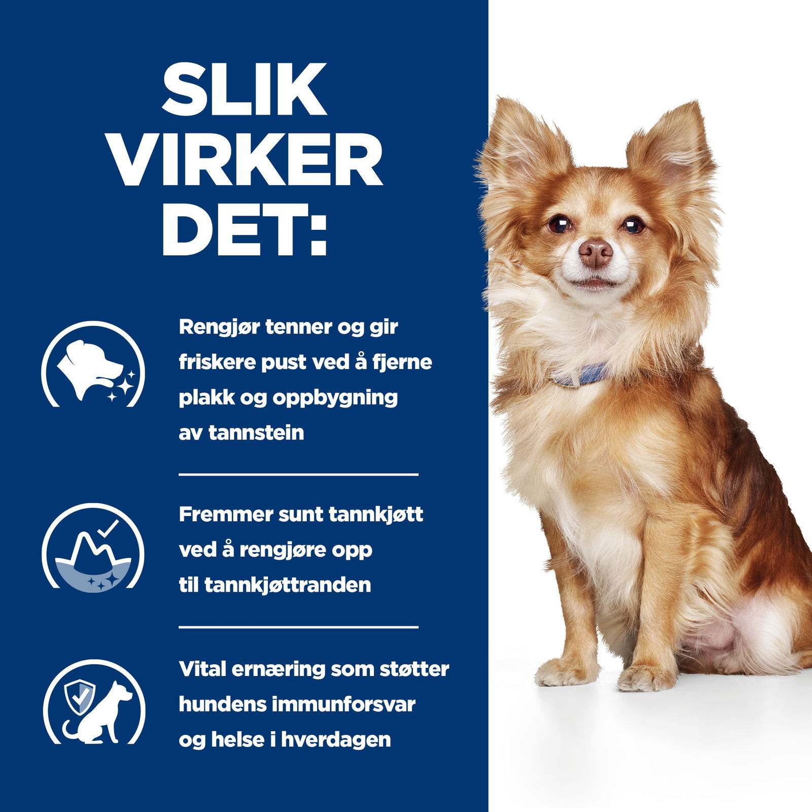 Hills Diet Dog t/d Mini 3kg