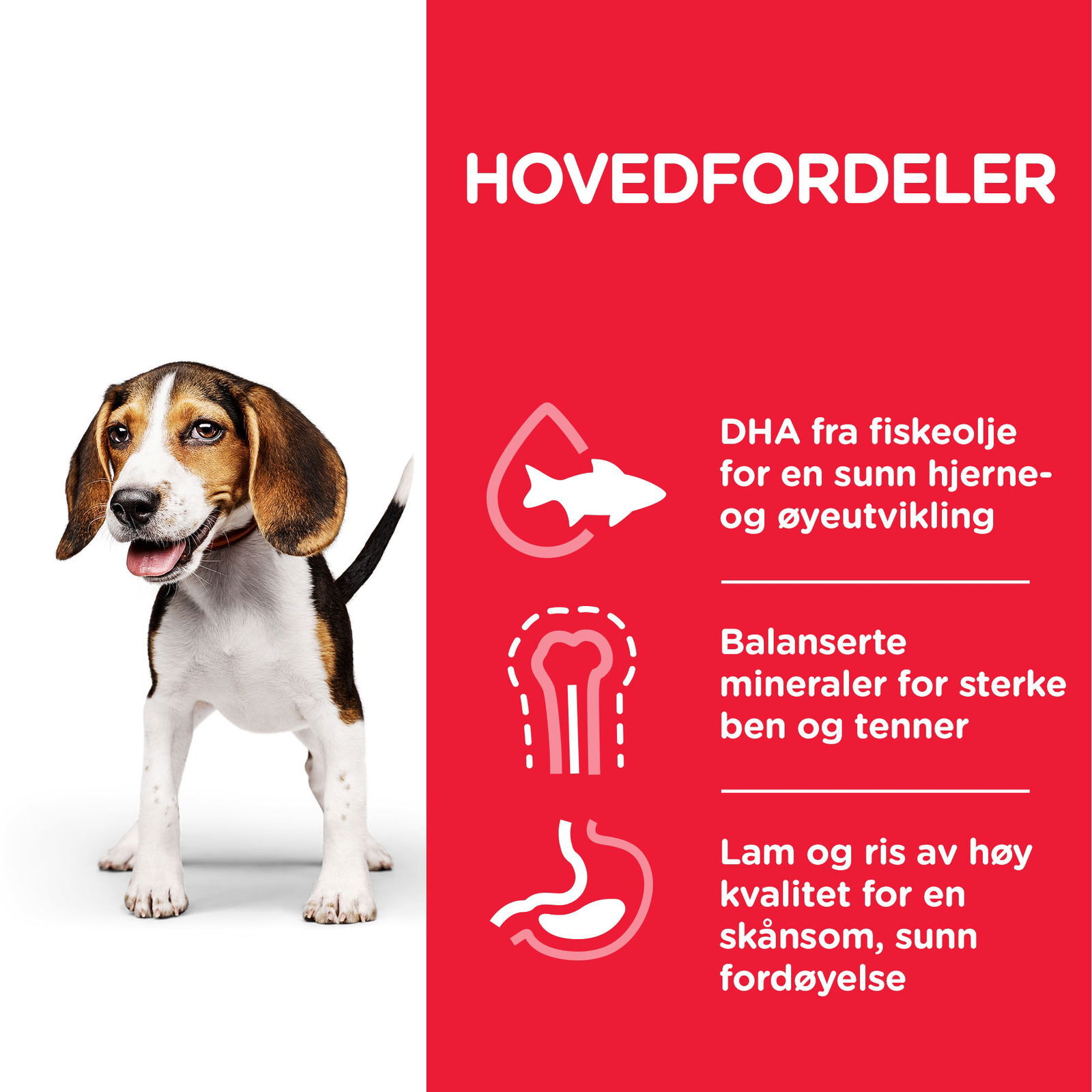 Hill's Science Plan Puppy Lamb & Rice