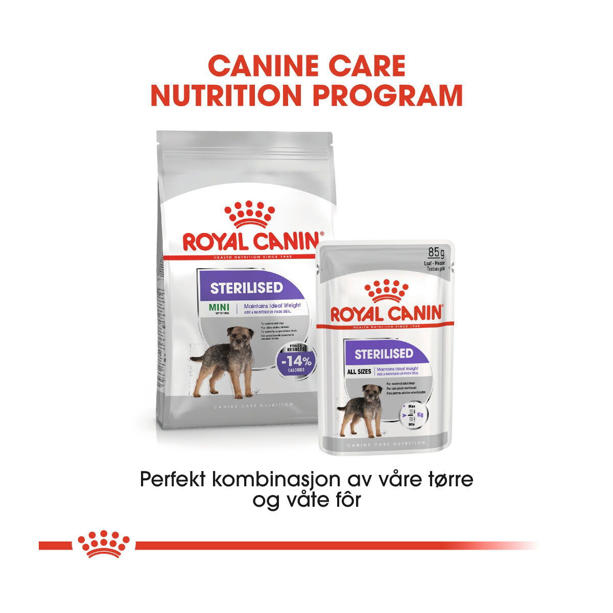 Royal Canin Sterilised Adult Loaf våtfôr til hund