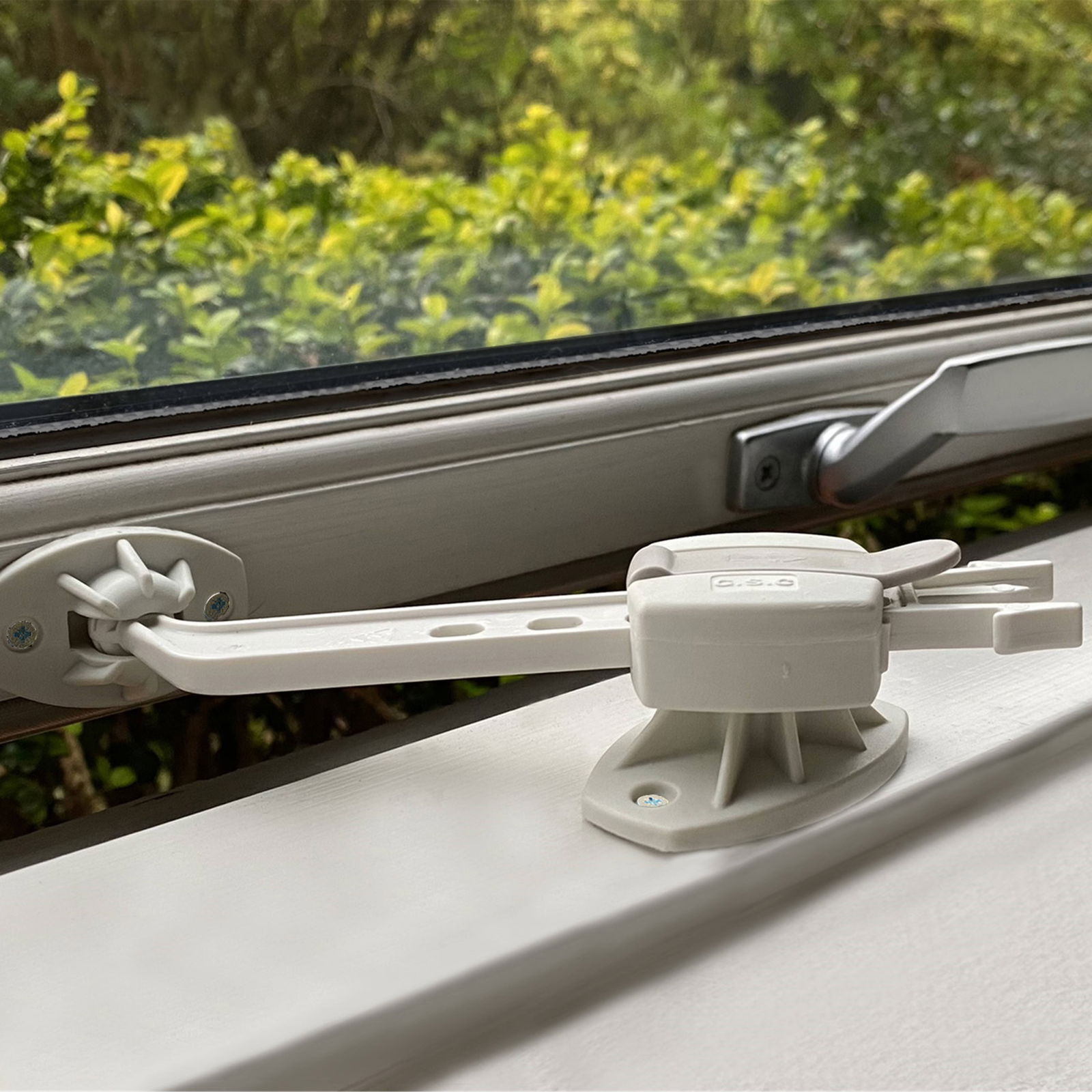 DogSpace Puppy Starter set