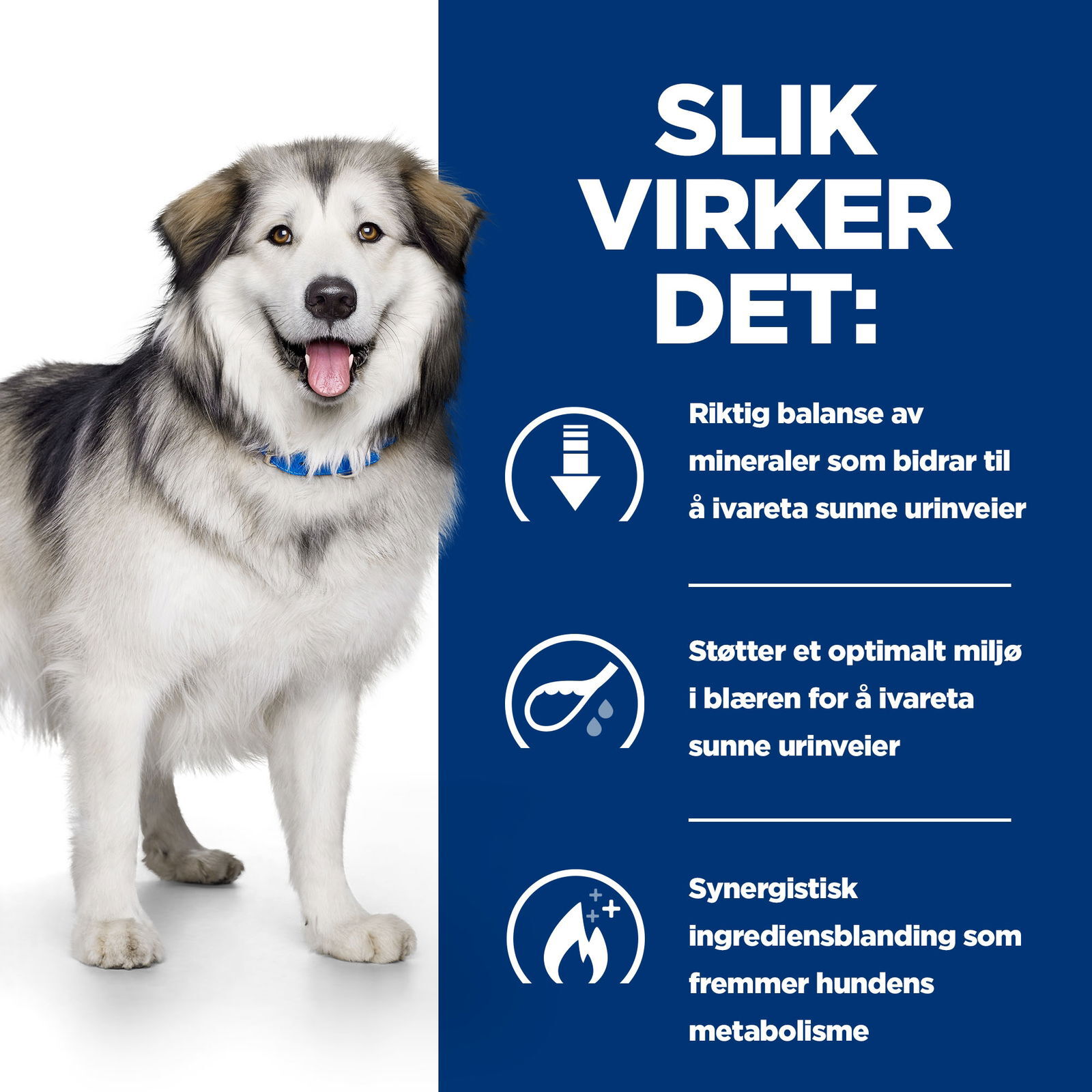 Hills Diet Dog Metabolic + Urinary 2kg