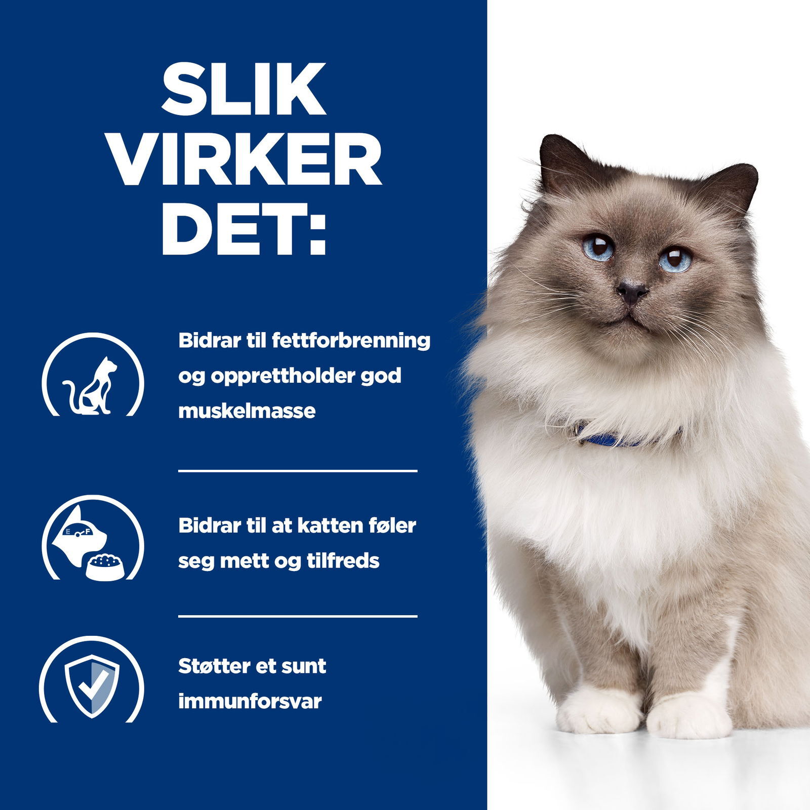Hills Diet Cat r/d 1,5kg
