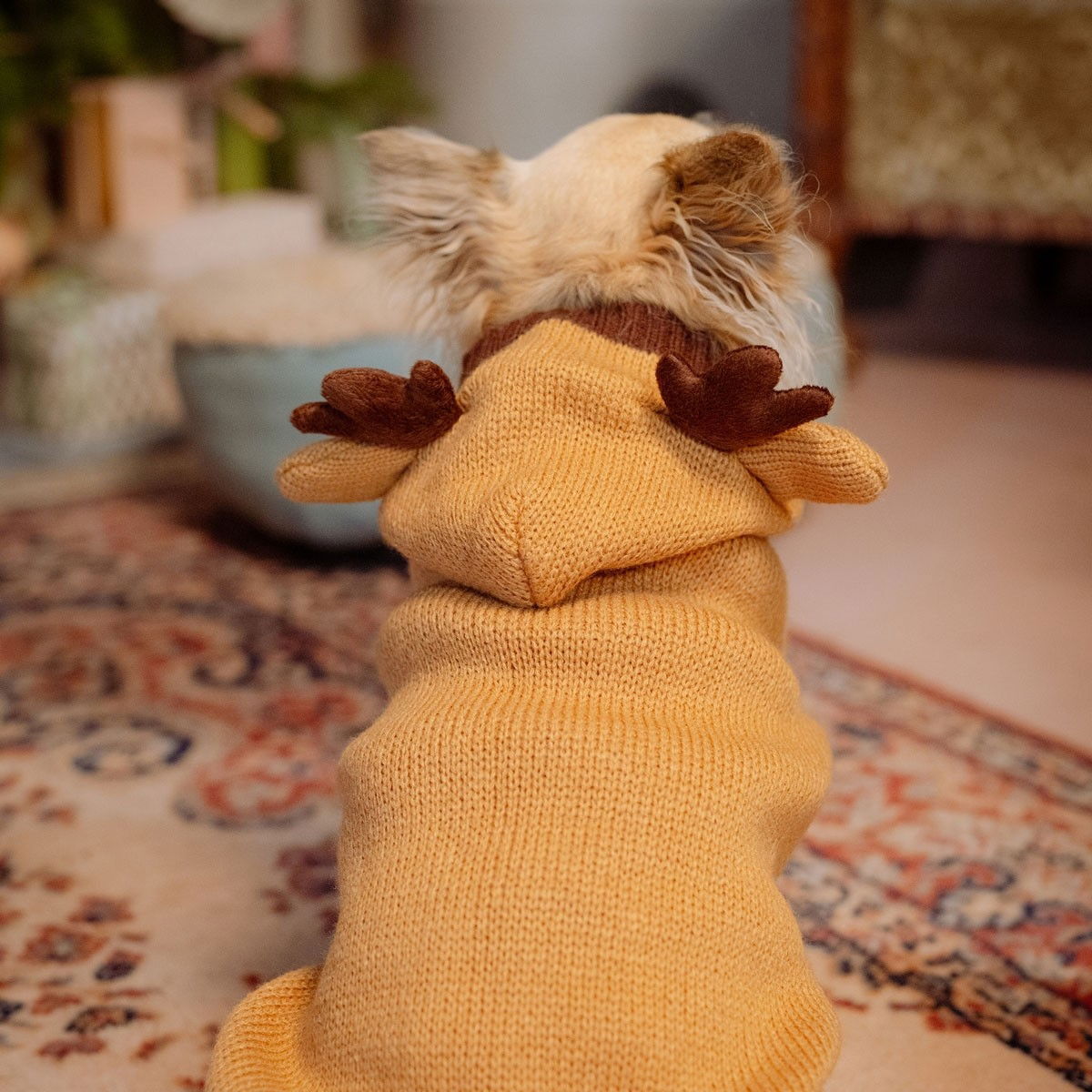 Little&Bigger Reindeer knit hoodie brown