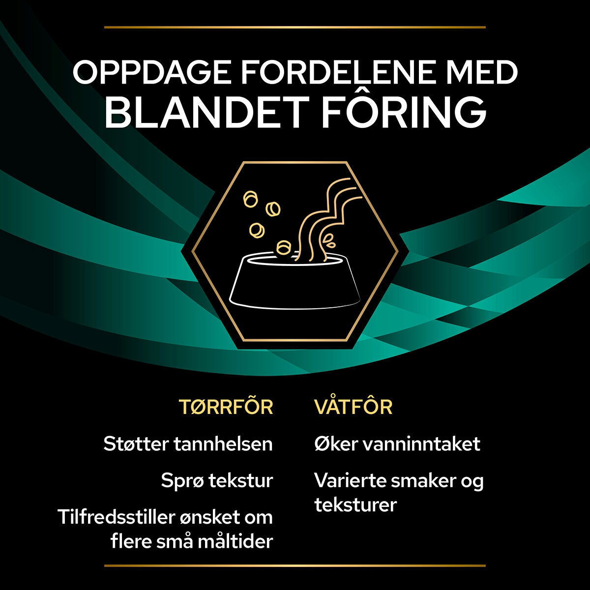 PPVD FELINE EN Chicken 10x85g