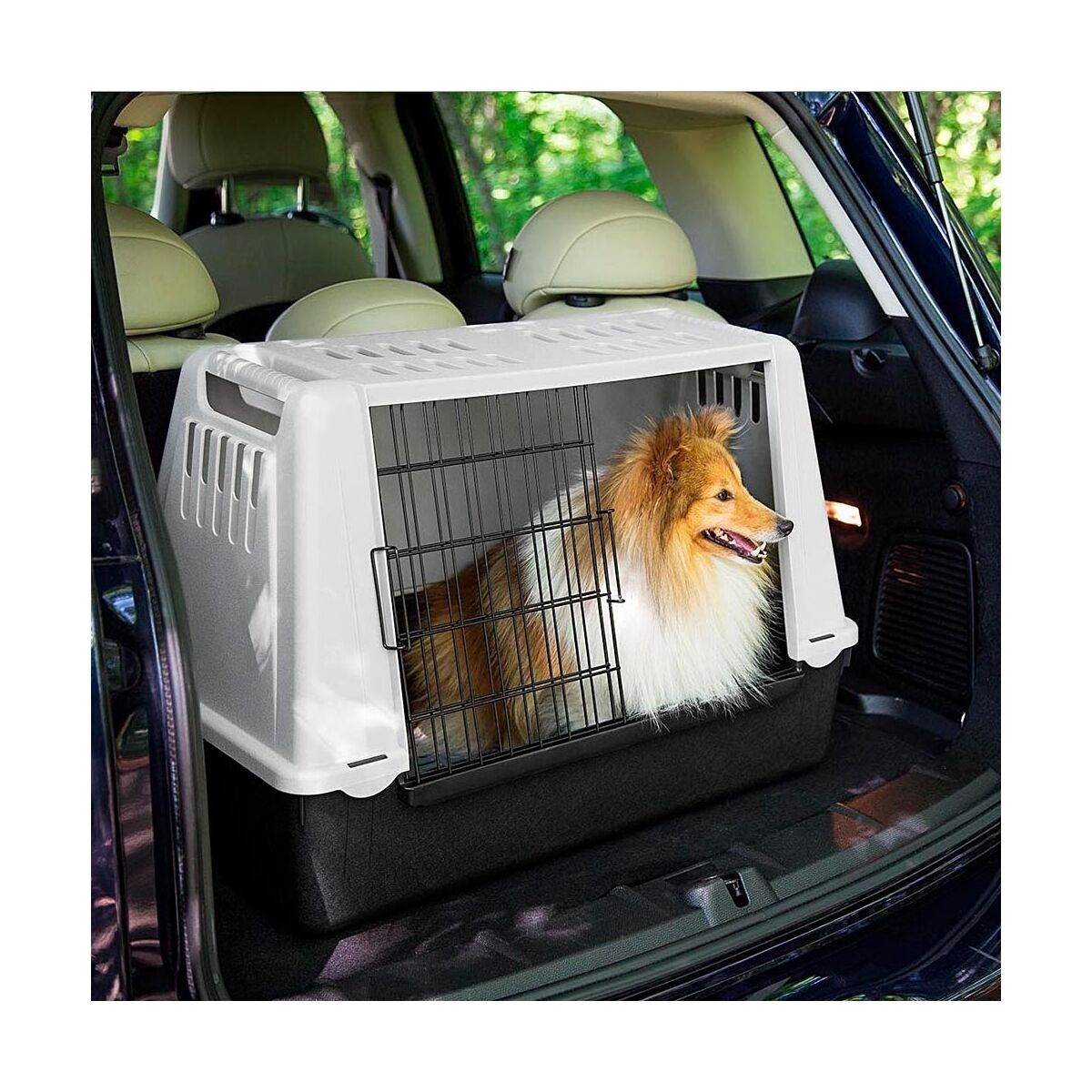 Transportbur til bil Atlas