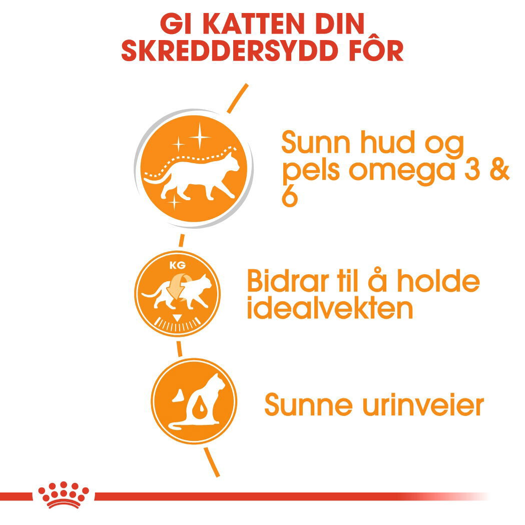 Royal Canin Hair & Skin Care Jelly Adult våtfôr til katt