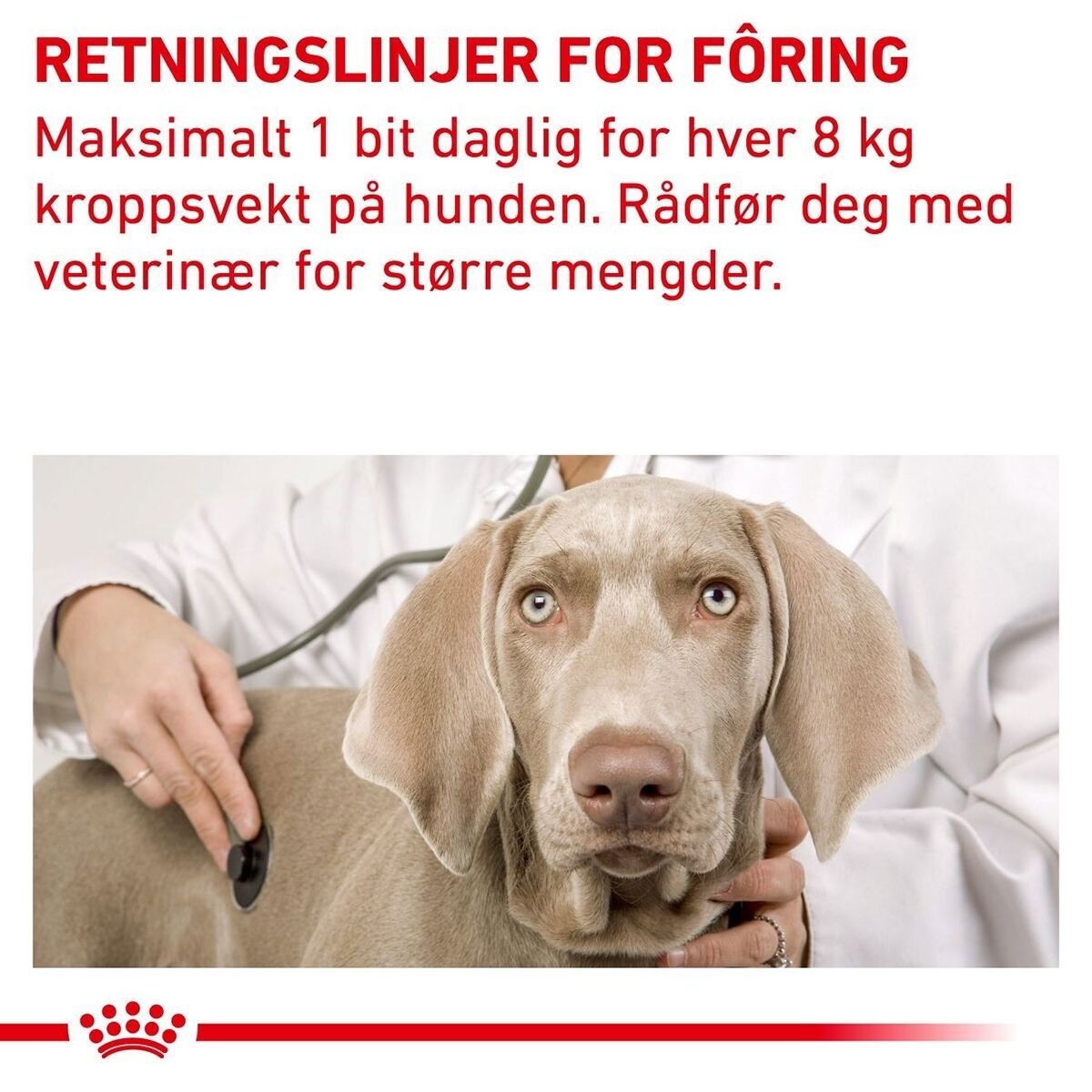 Royal Canin Veterinary Diets Dog Pill Assist M/L 225g