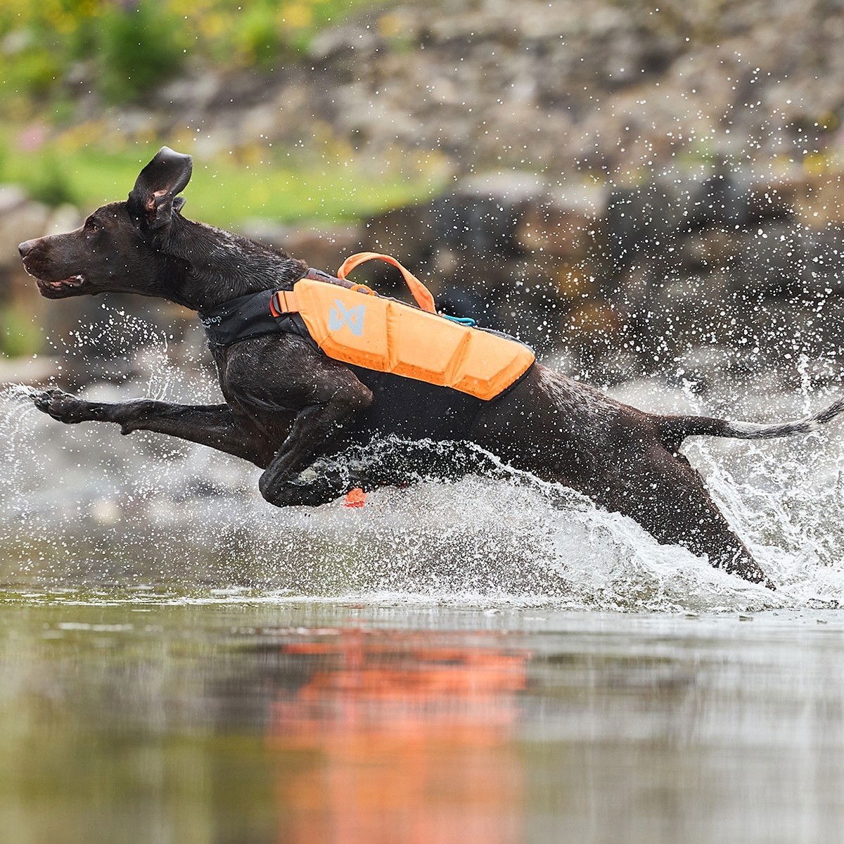 Non-Stop Protector life jacket black/orange