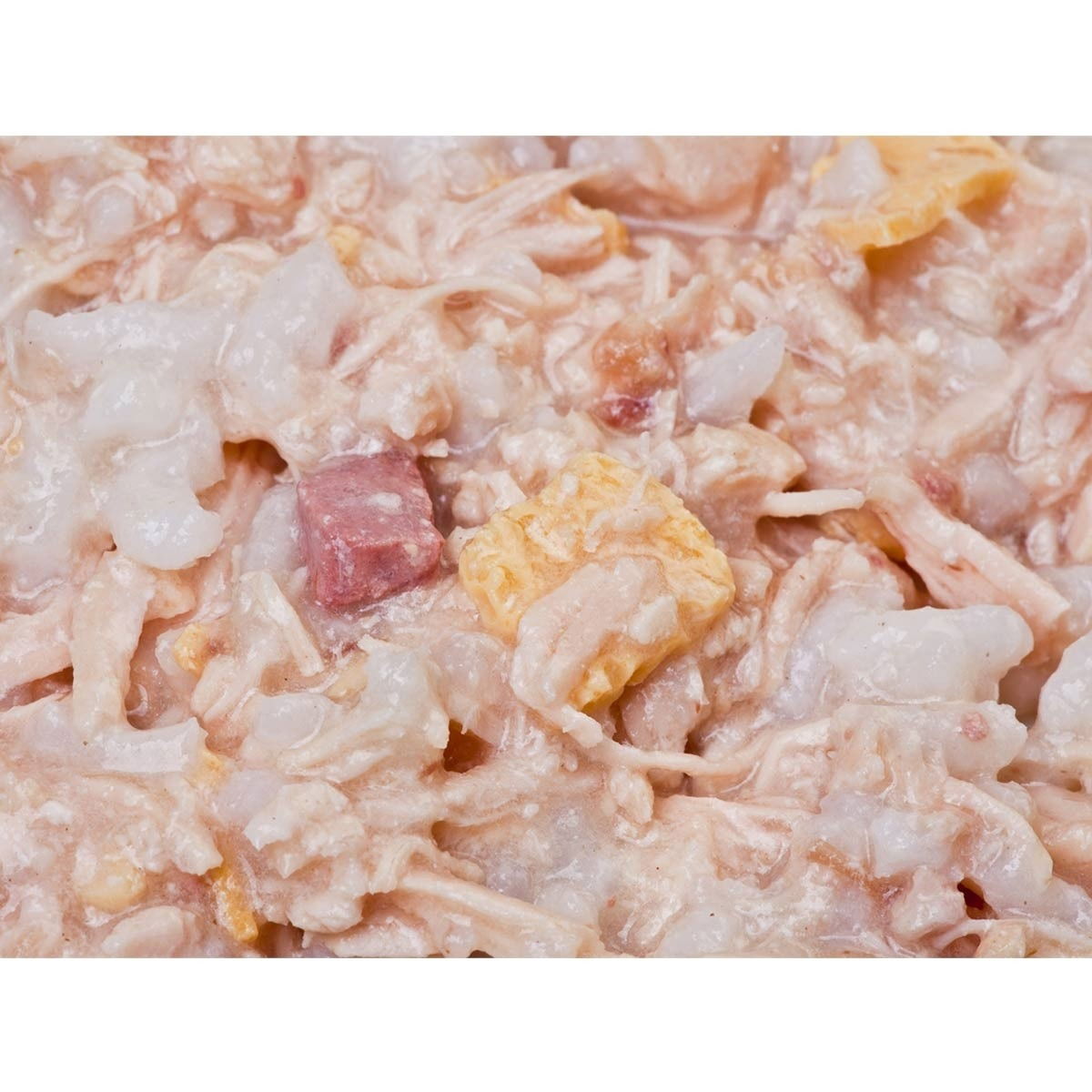 Feline Porta 21 Kitten kylling og ris