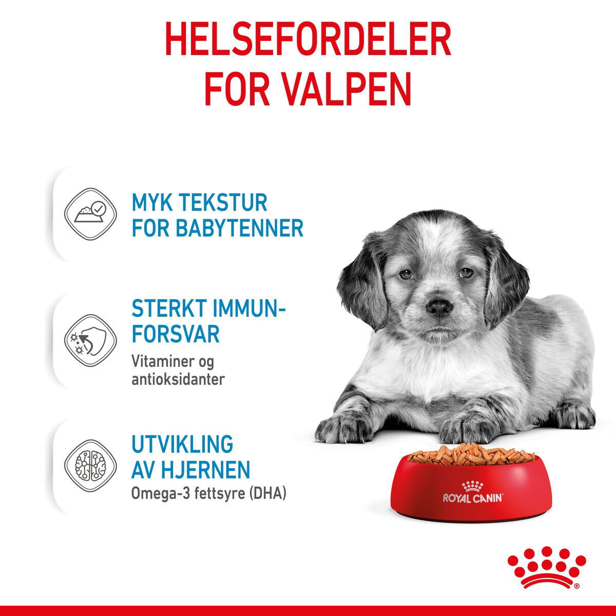 Royal Canin Medium Puppy Gravy våtfôr til valp