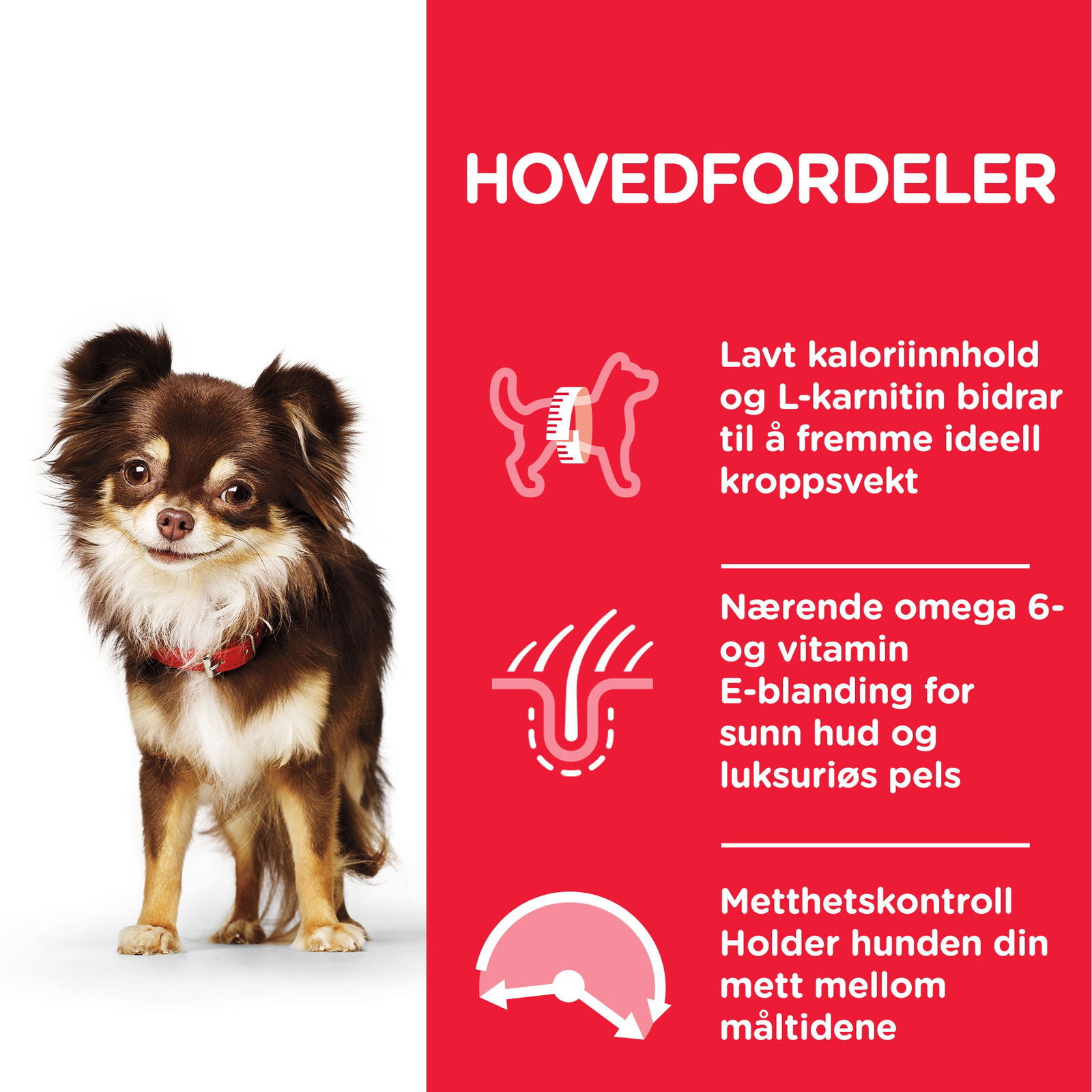 Hill's Science Plan Dog Small & Mini Light