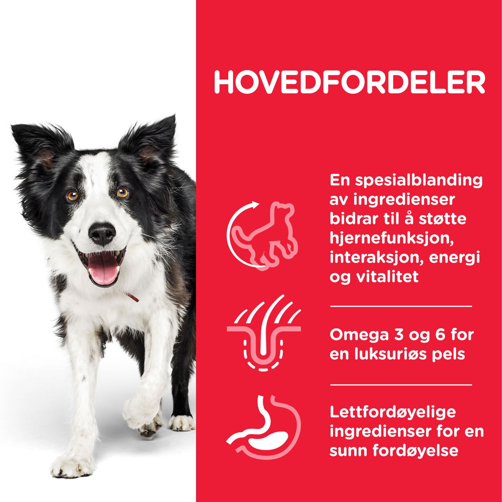 Hill's Science Plan Dog  Senior Vitality Medium