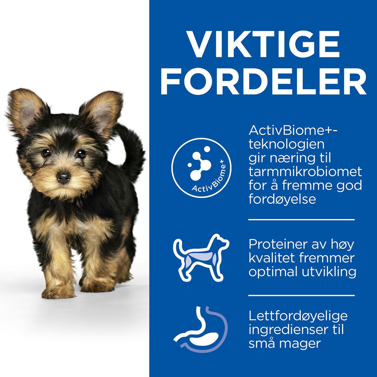 Hill's SP Puppy Perfect Digestion S&Mi Ch