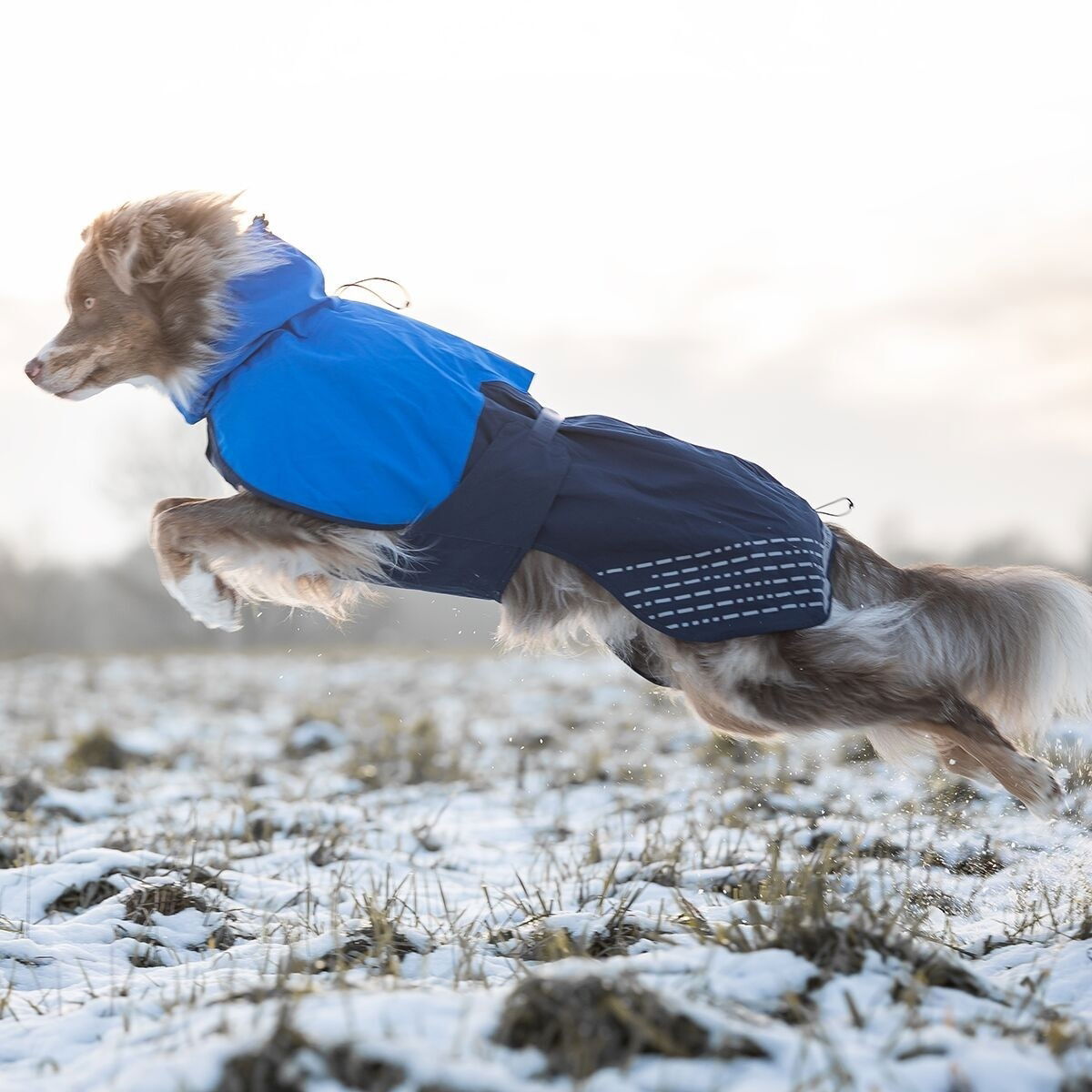 Non-Stop Fjord raincoat, blue