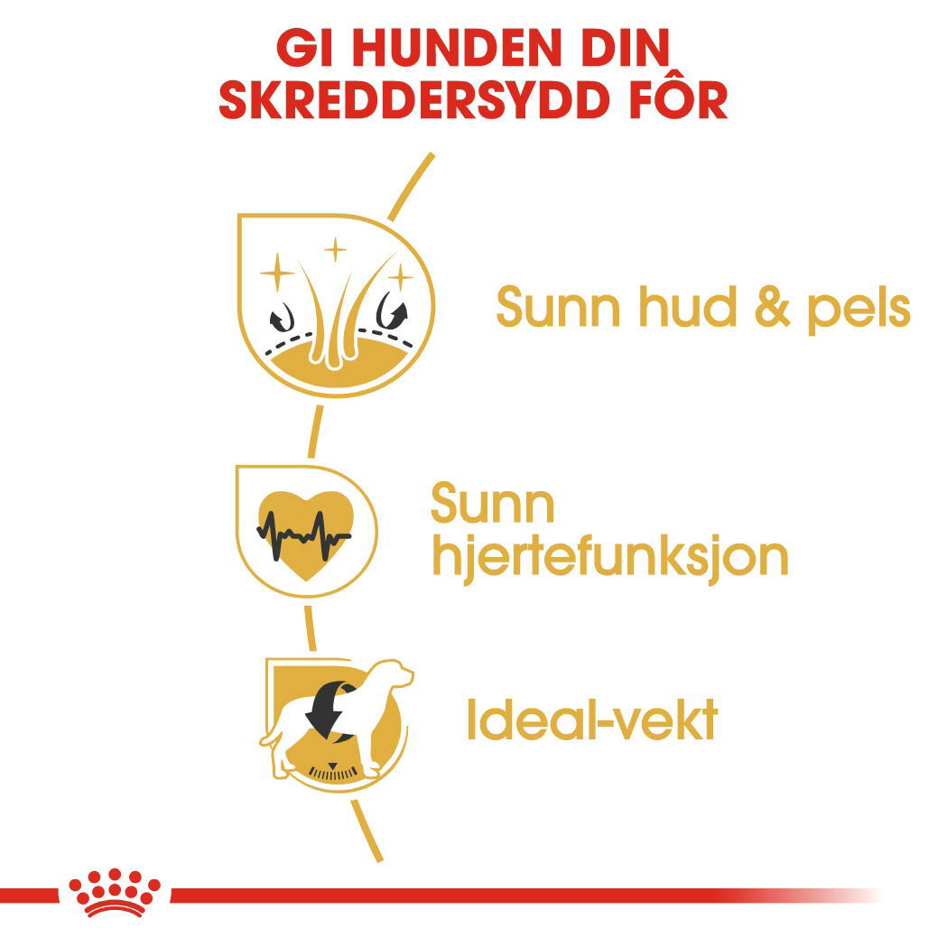 Royal Canin Golden Retriever Adult tørrfôr til hund