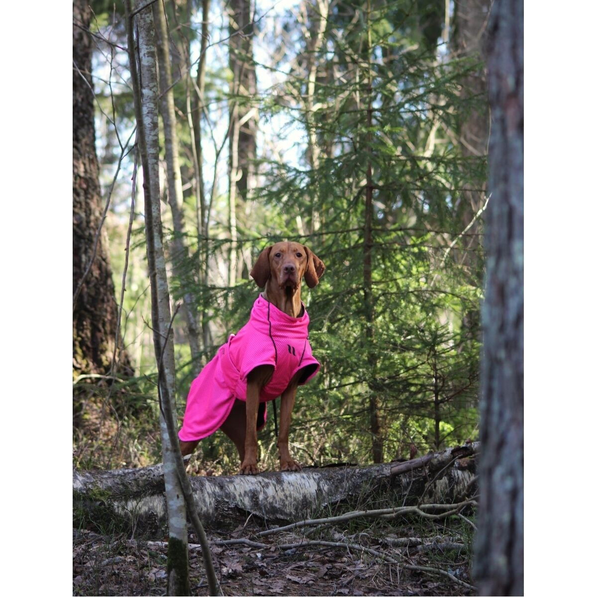 Back on Track Mesh jacket Limited Edition, Hot Pink