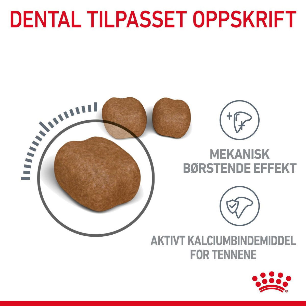 Royal Canin Dental Care Adult tørrfôr til katt