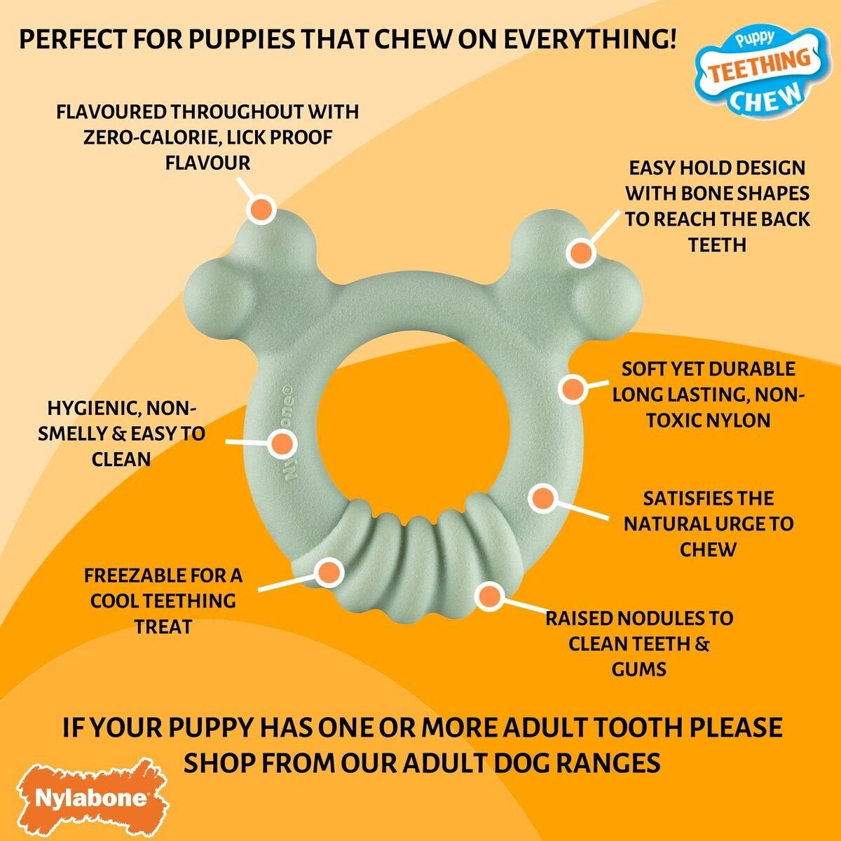 Nylabone Puppy Tactile ring chicken S