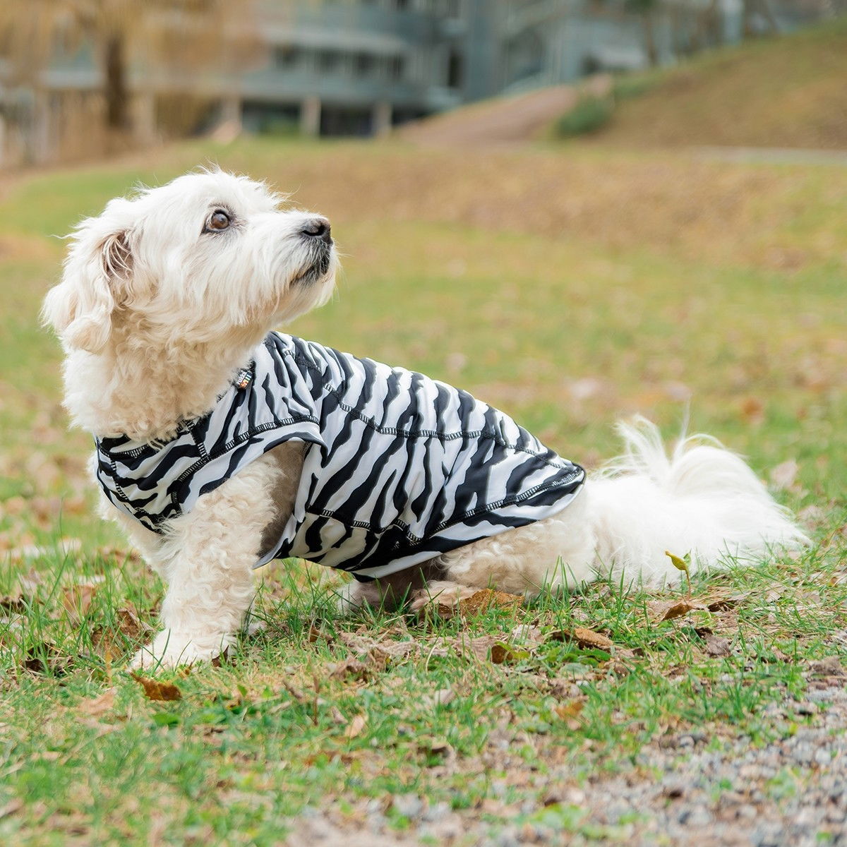 Rukka Zebra Shirt