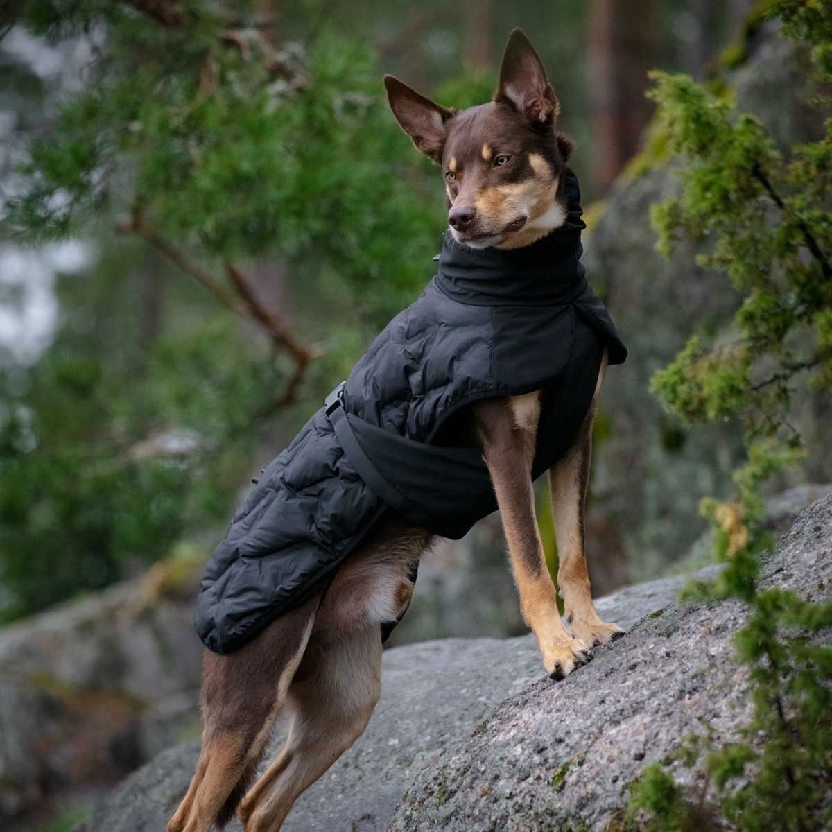 Feel Active Haga parka black