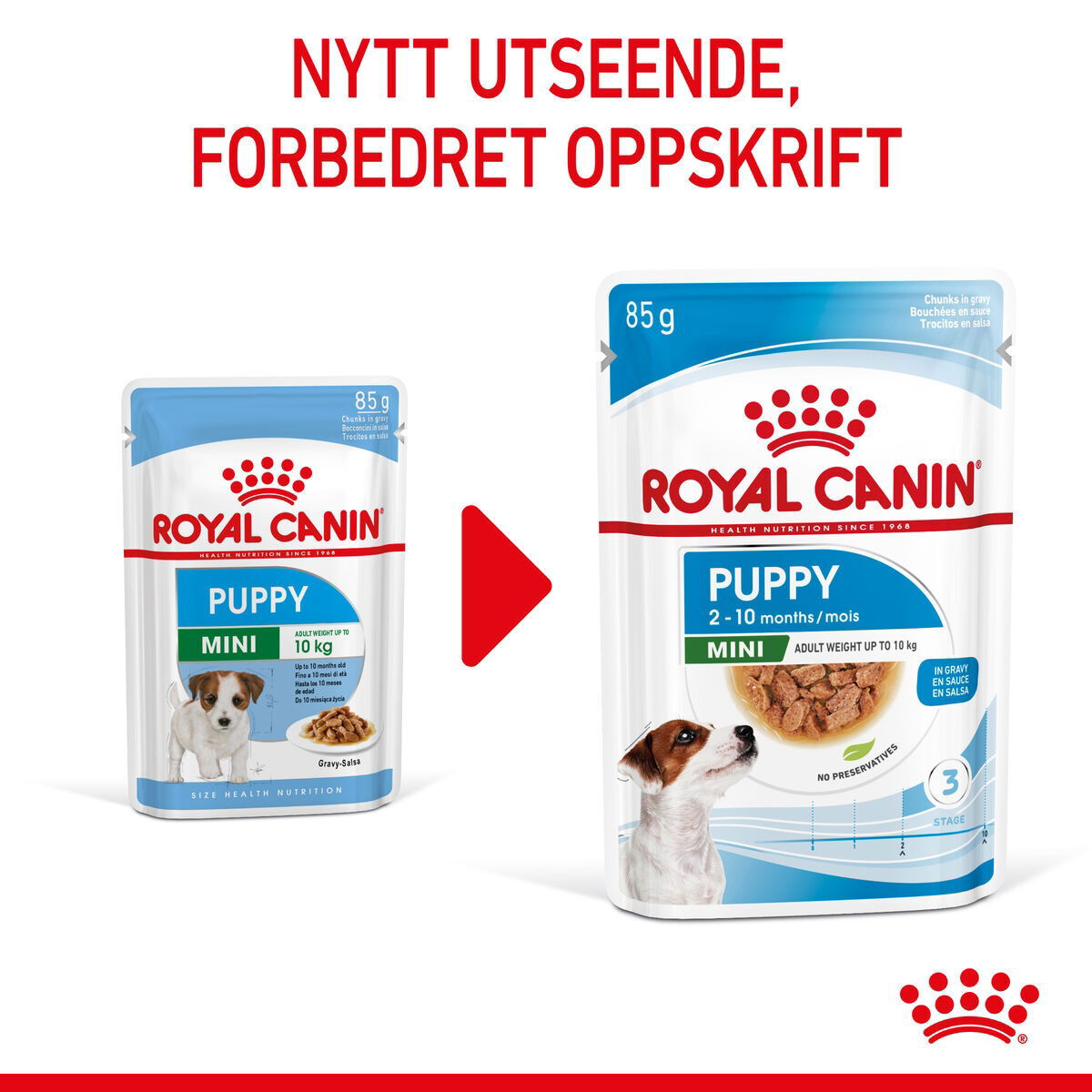 Royal Canin Mini Puppy våtfôr til valp