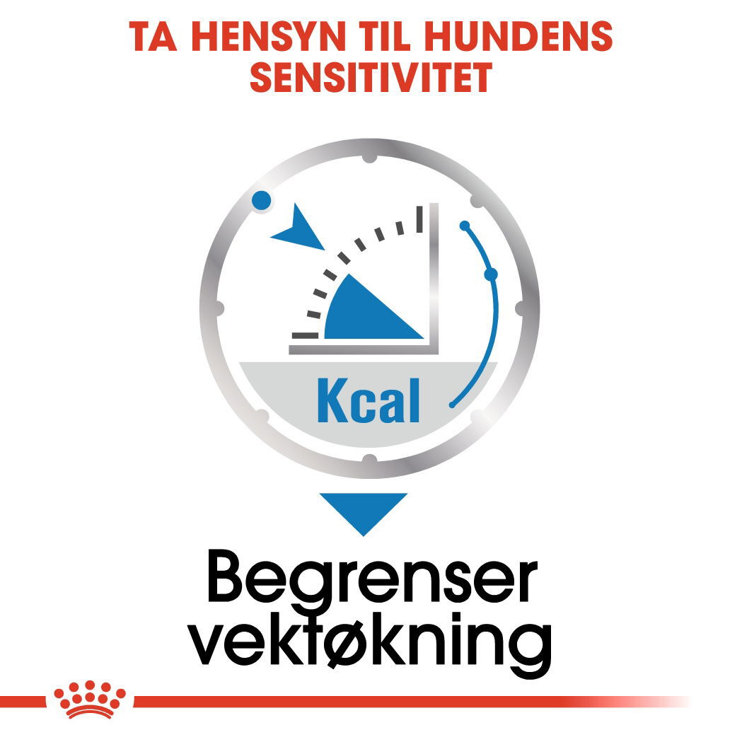 Royal Canin Light Weight Care Adult Loaf våtfôr til hund