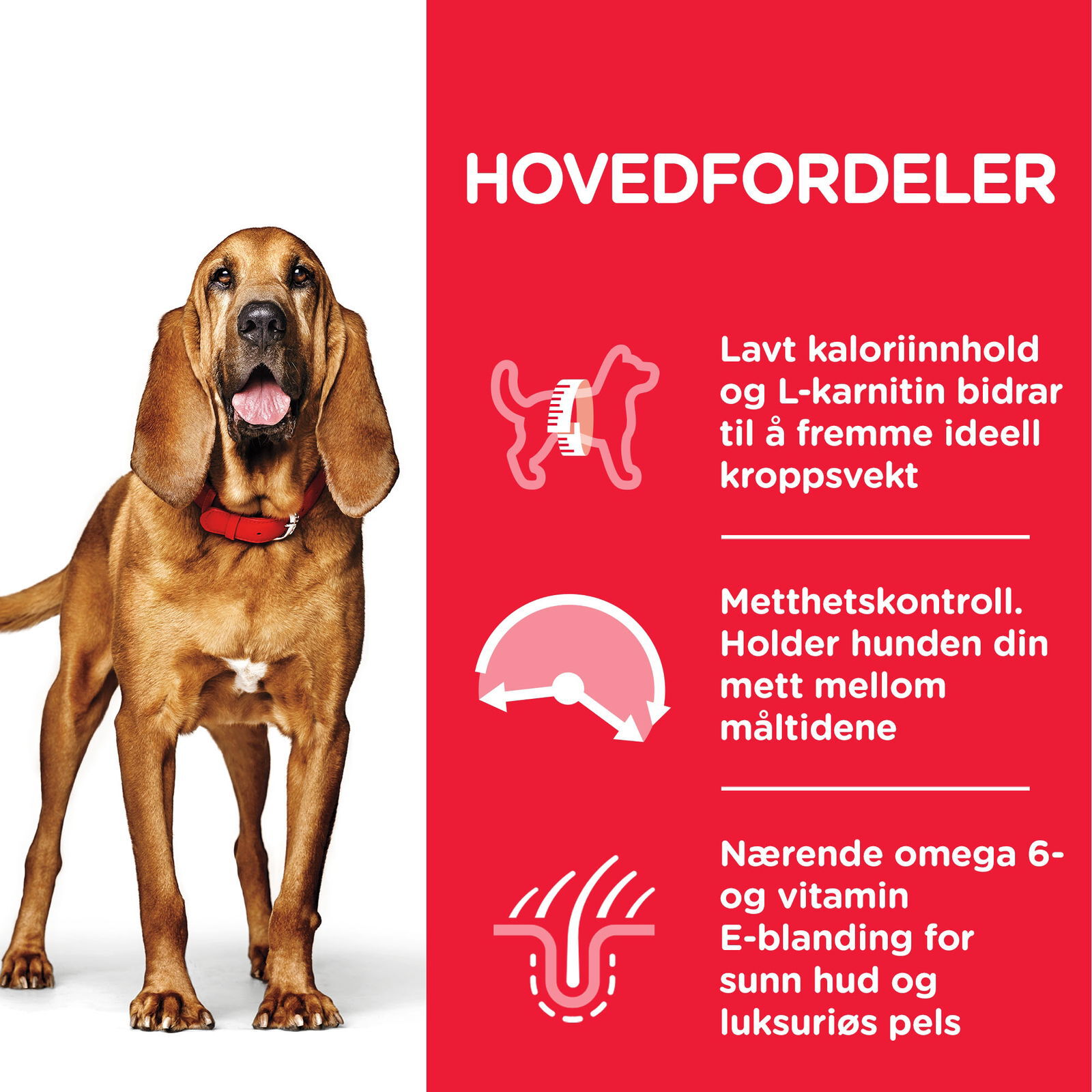 Hill's Science Plan Canine Mature Light Medium Chicken