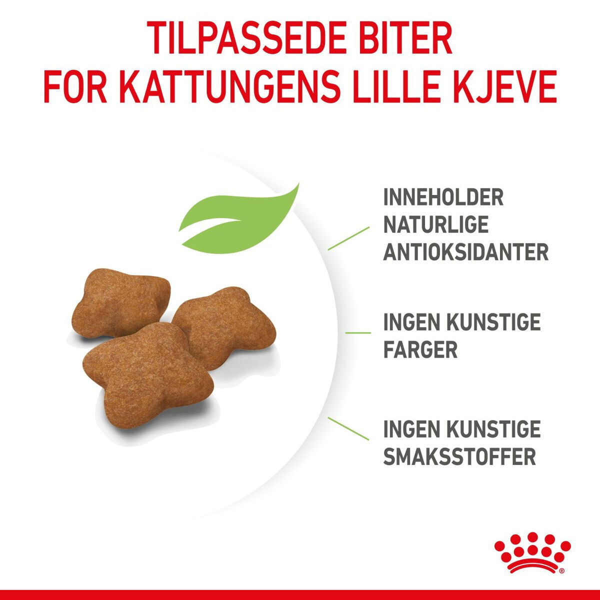 Royal Canin Kitten Sterilised tørrfôr til kattunge