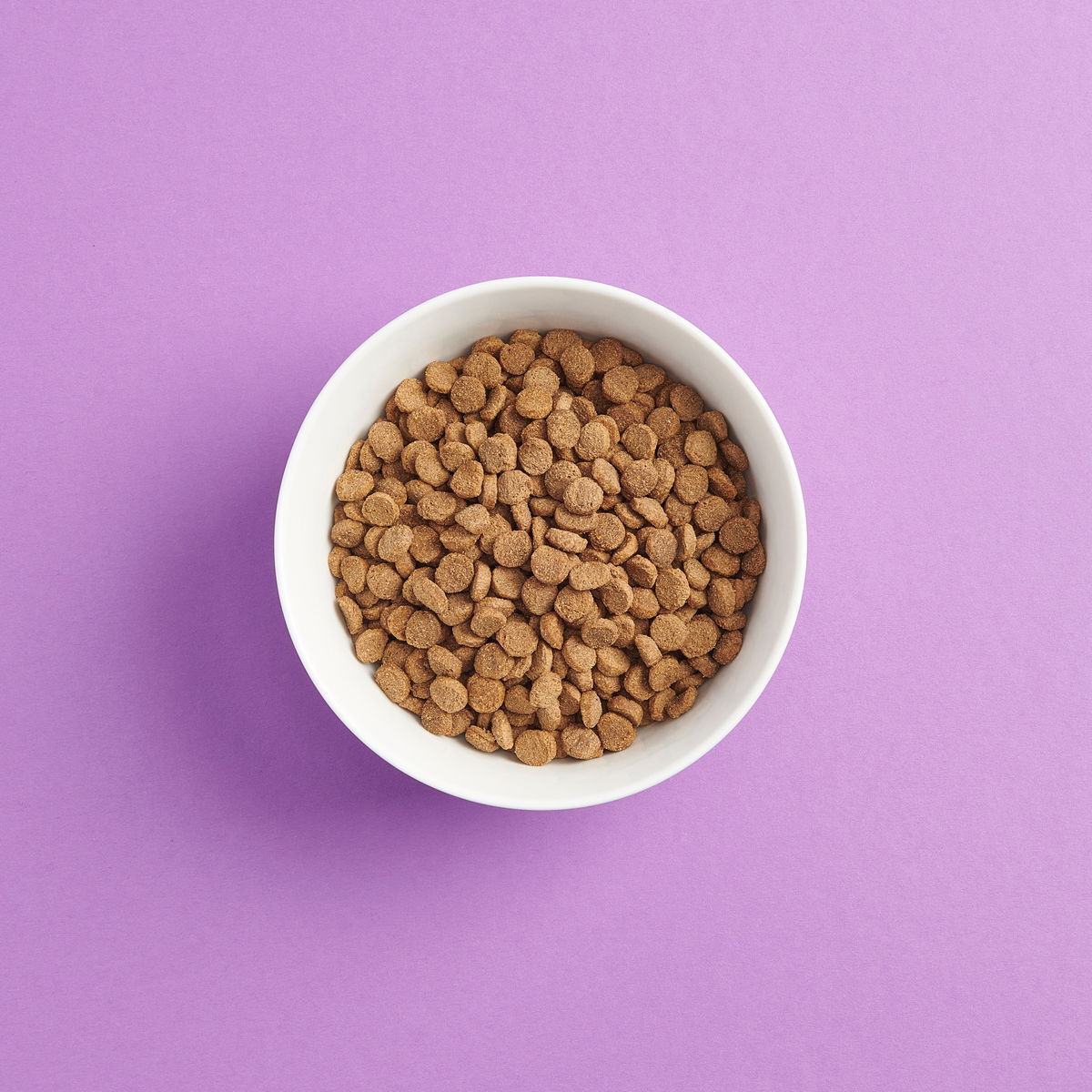 SMAAK Cat Sterilised Chicken