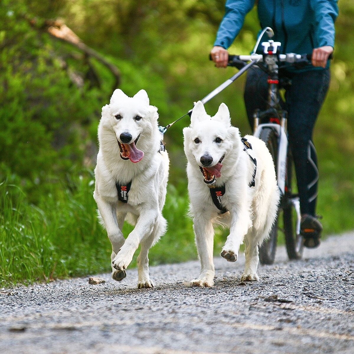 Non-stop Freemotion Trekksele 