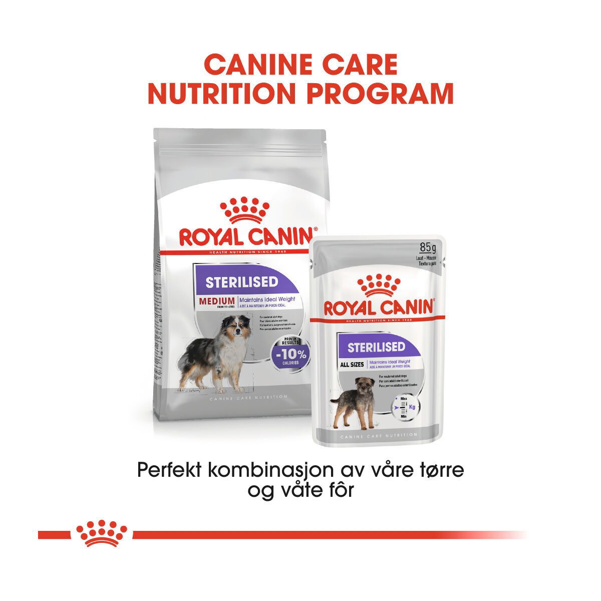 Royal Canin Sterilised Medium Adult tørrfôr til hund