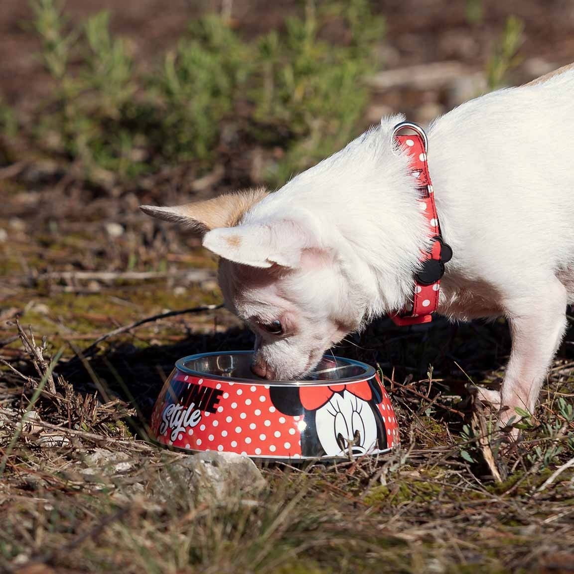For FAN Pets Dogs Bowls
