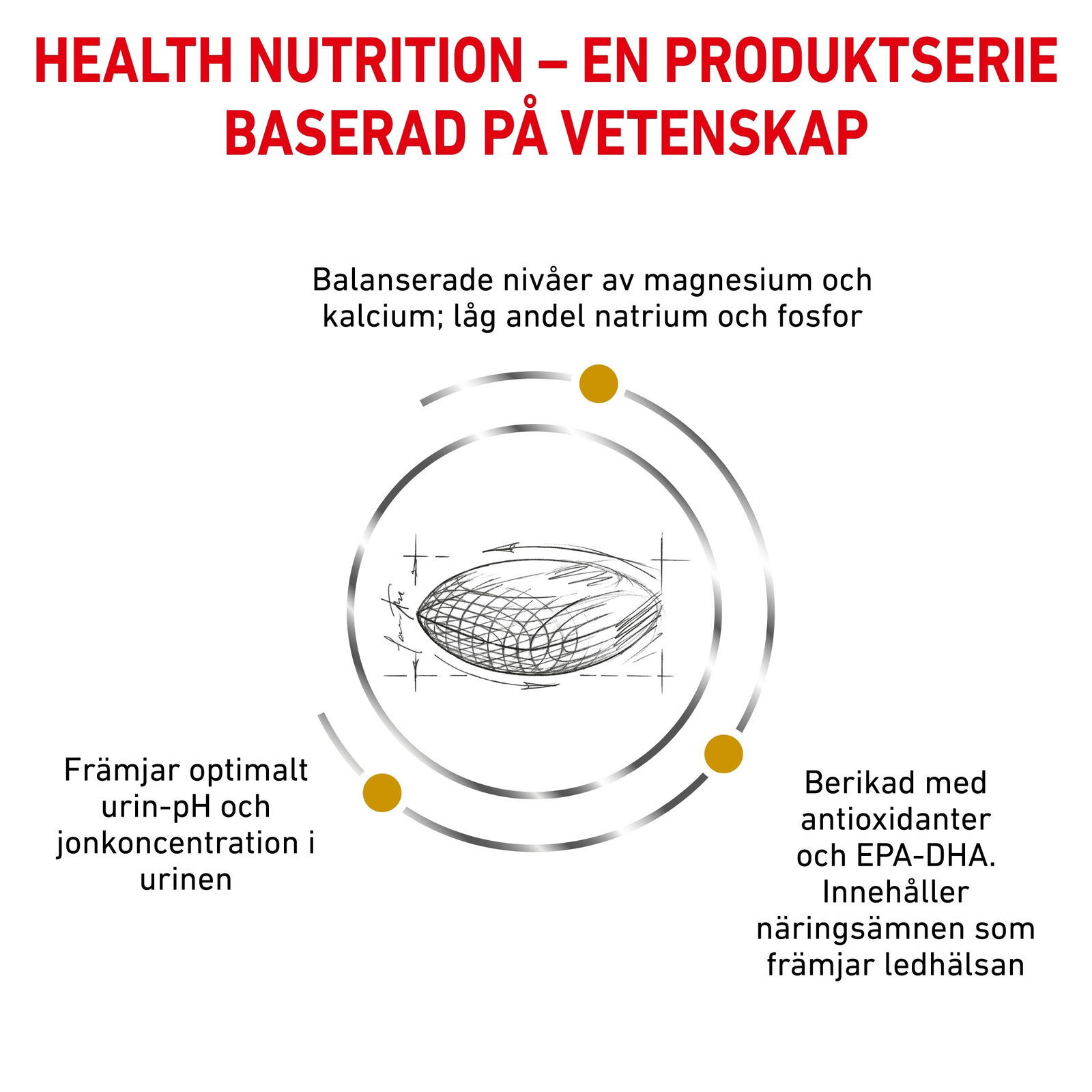 Royal Canin Veterinary Diets Urinary S/O Ageing 7+ vådfoder til hund