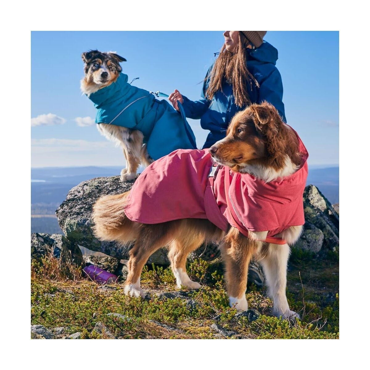 Hurtta Expedition Parka II Strawberry