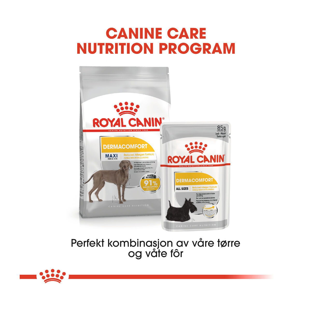 Royal Canin Maxi Dermacomfort