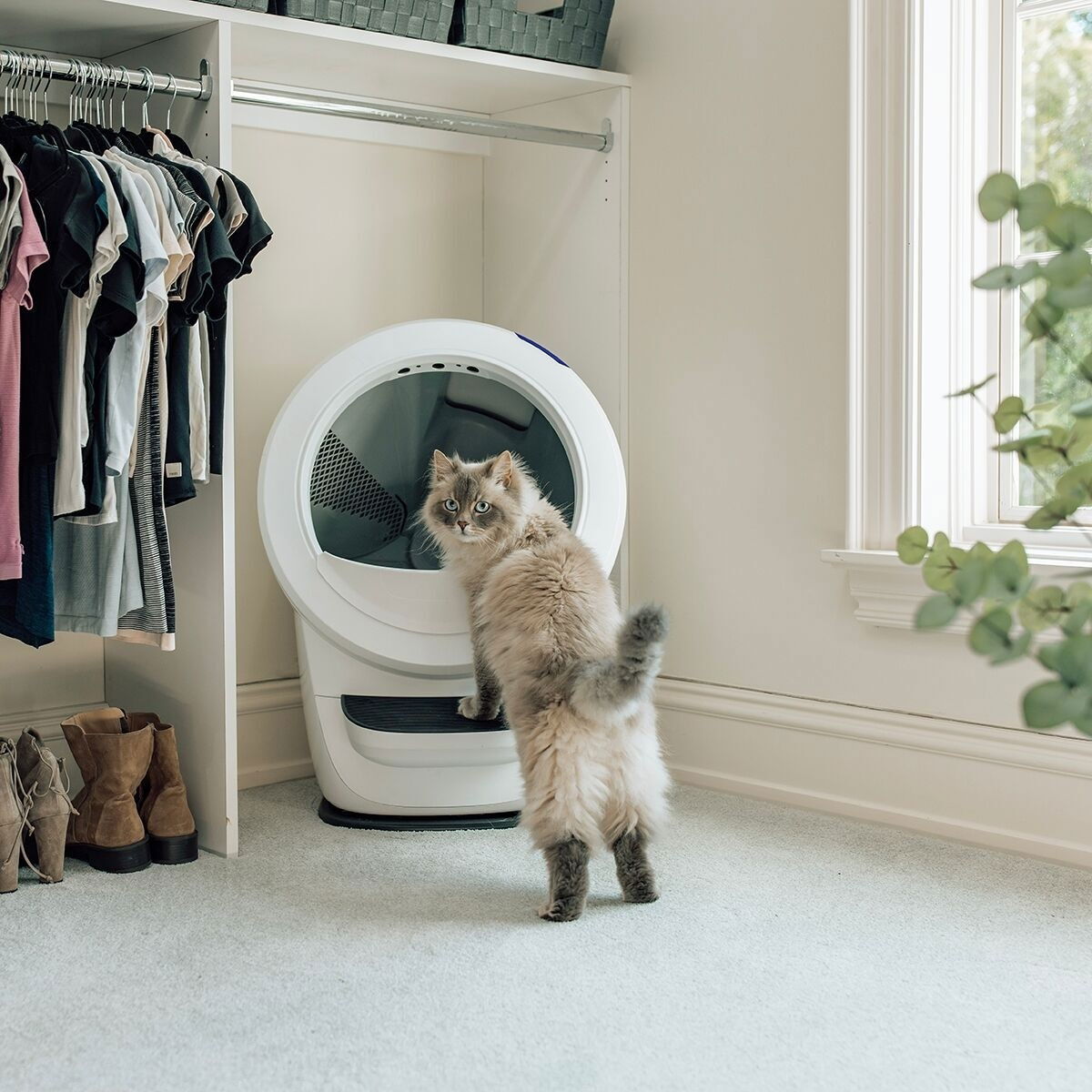 Whisker Litter-Robot 4, white