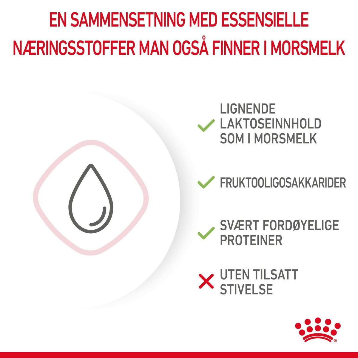 Royal Canin Babycat Milk melk til kattunge