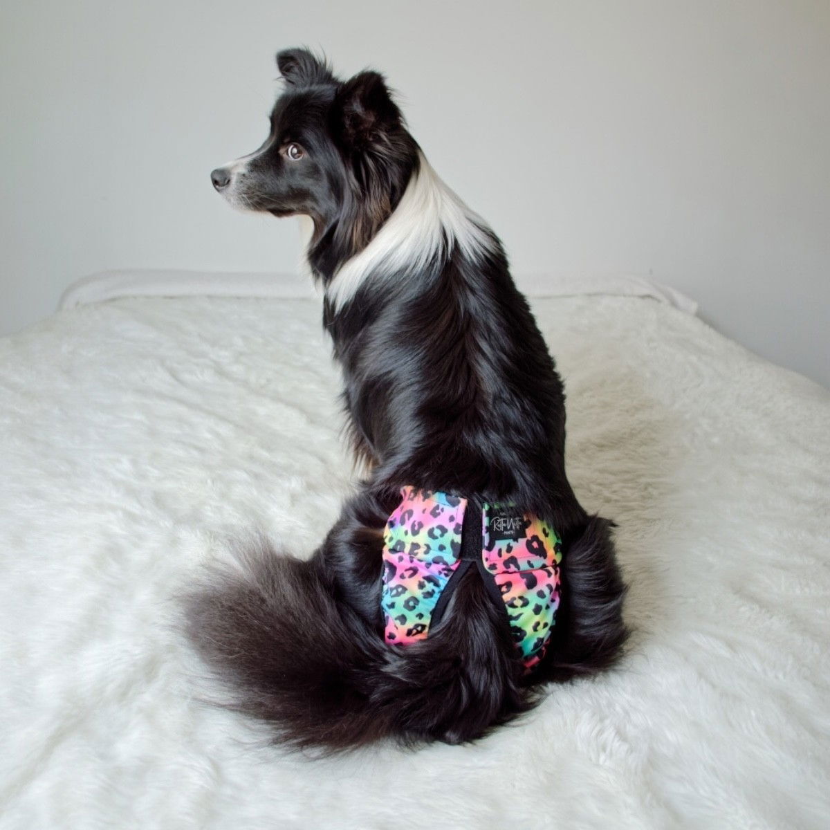 RuttuNuttu heat pants wraparound, rainbow leopard